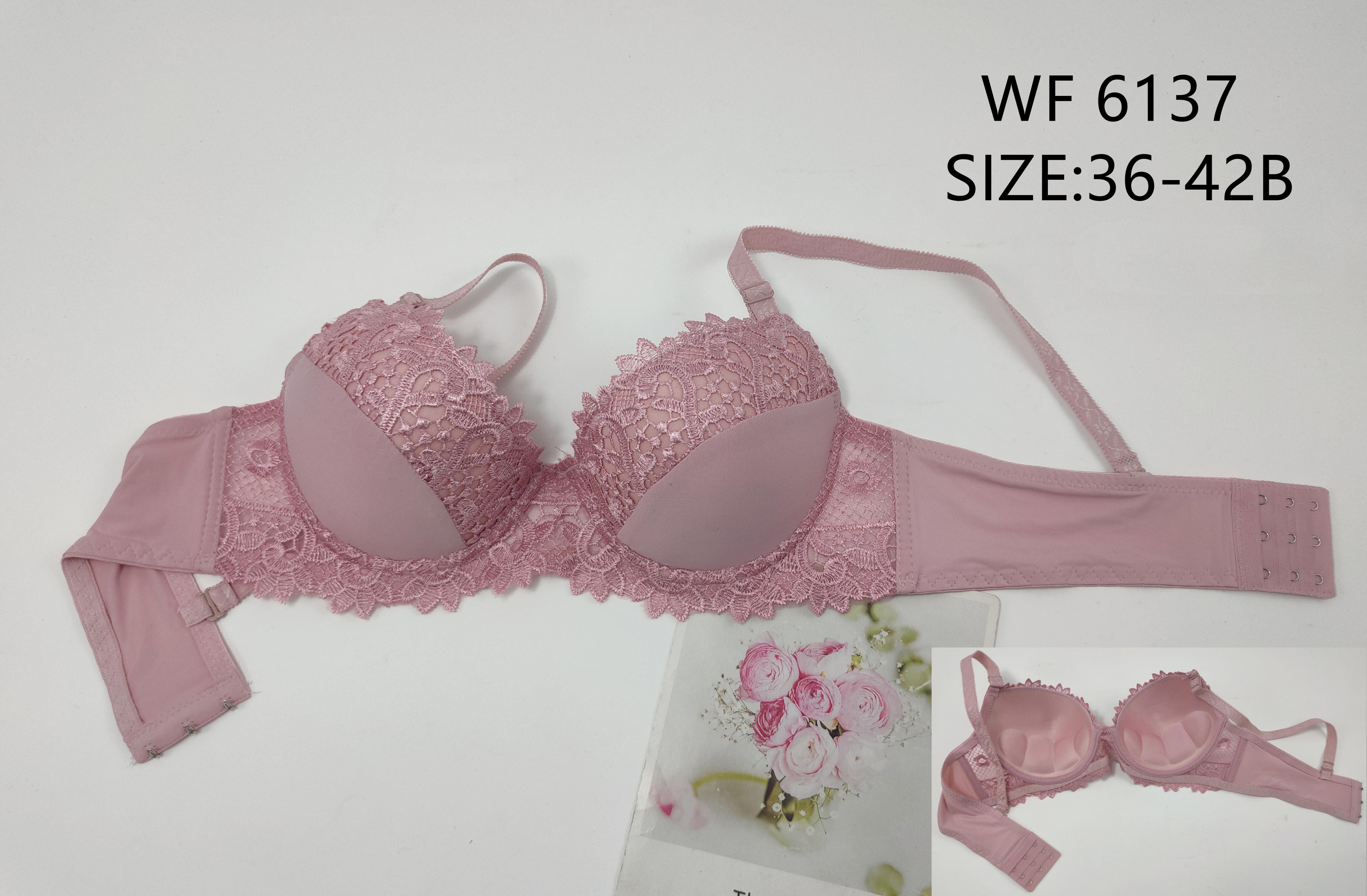 WF6137