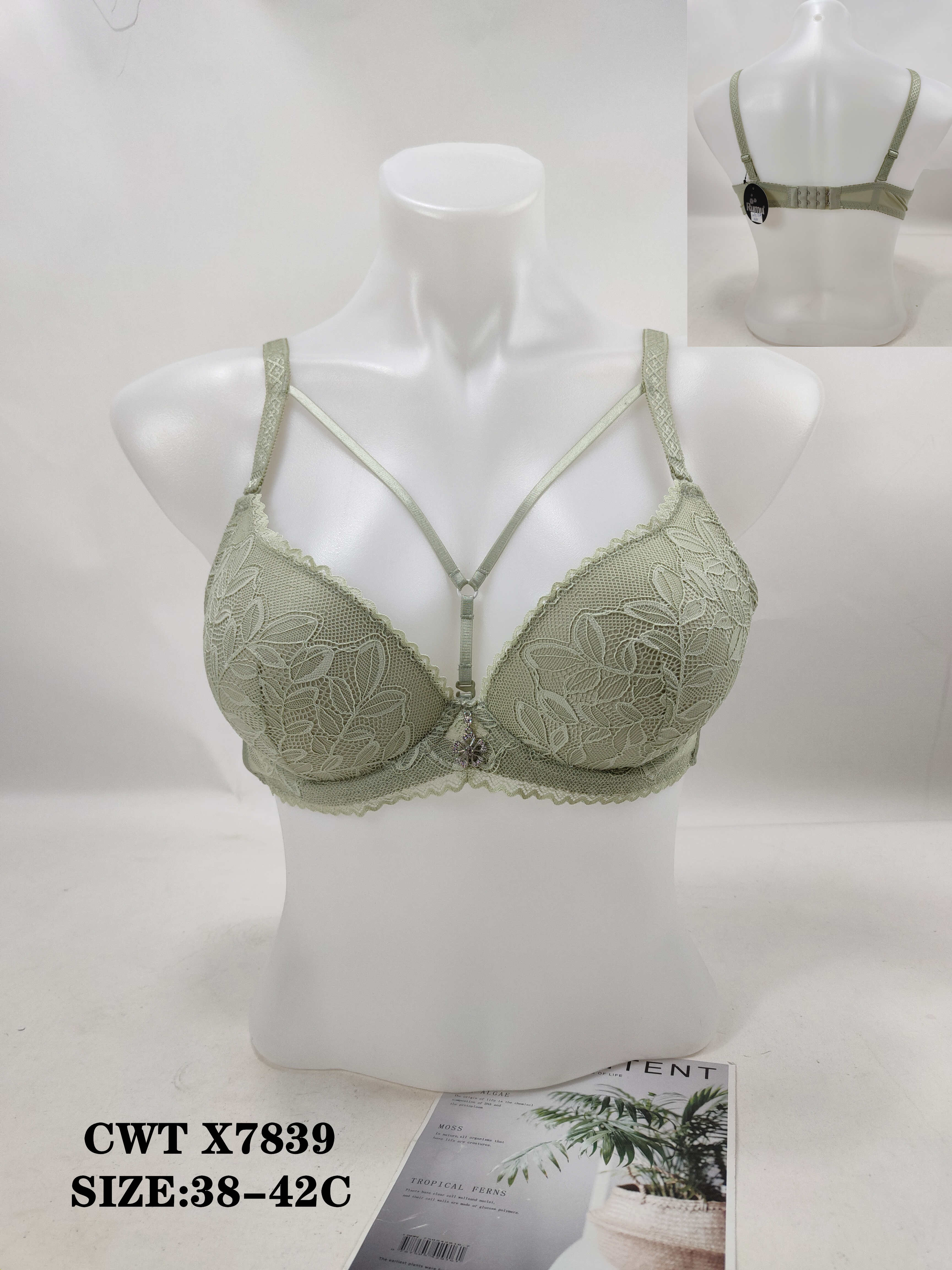 CWTX7839,bra