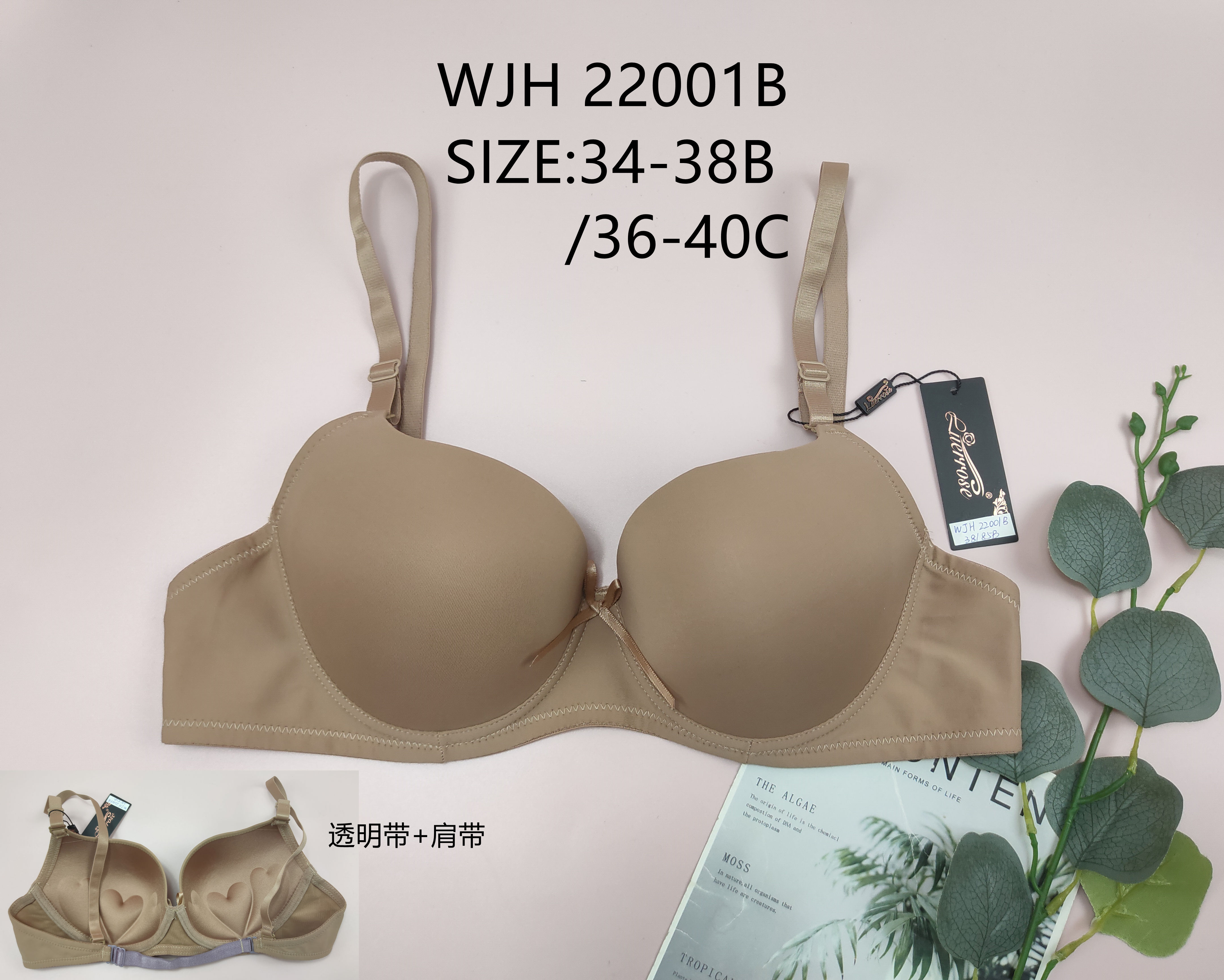 WJH22001B