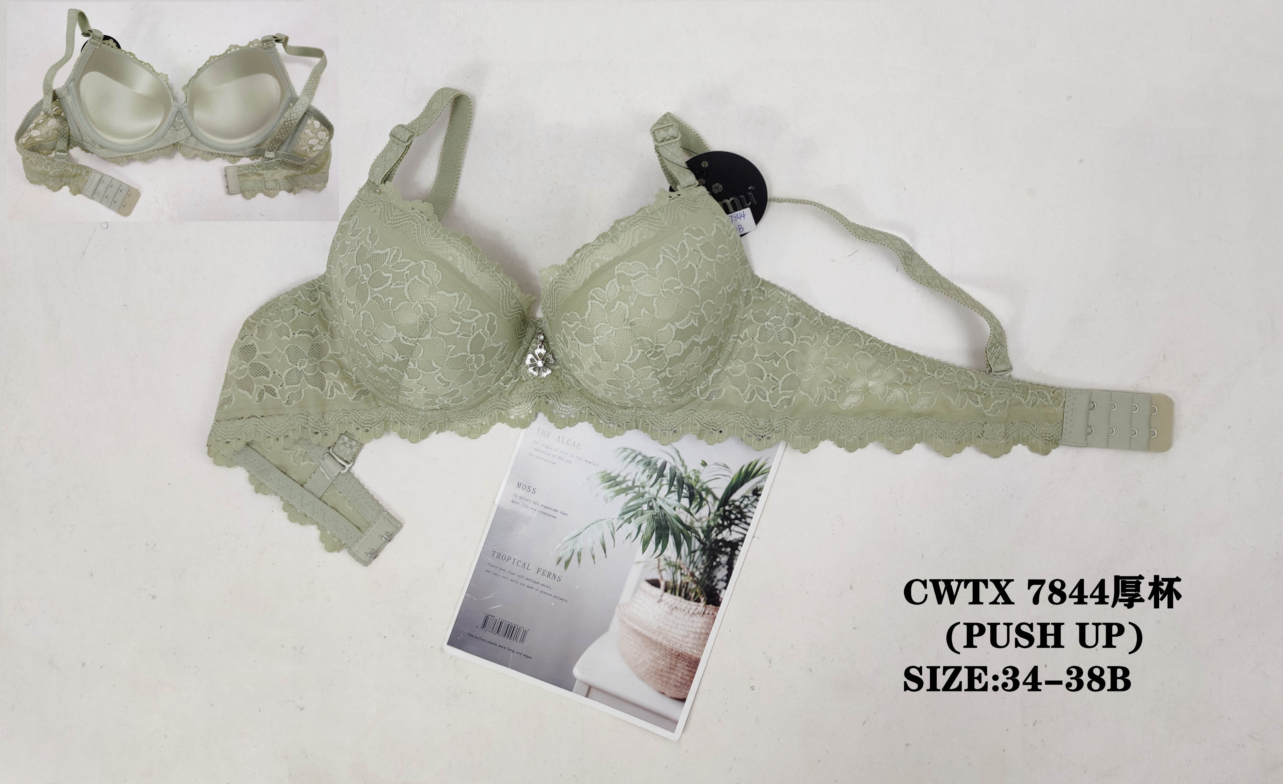 CWTX7844厚杯,bra