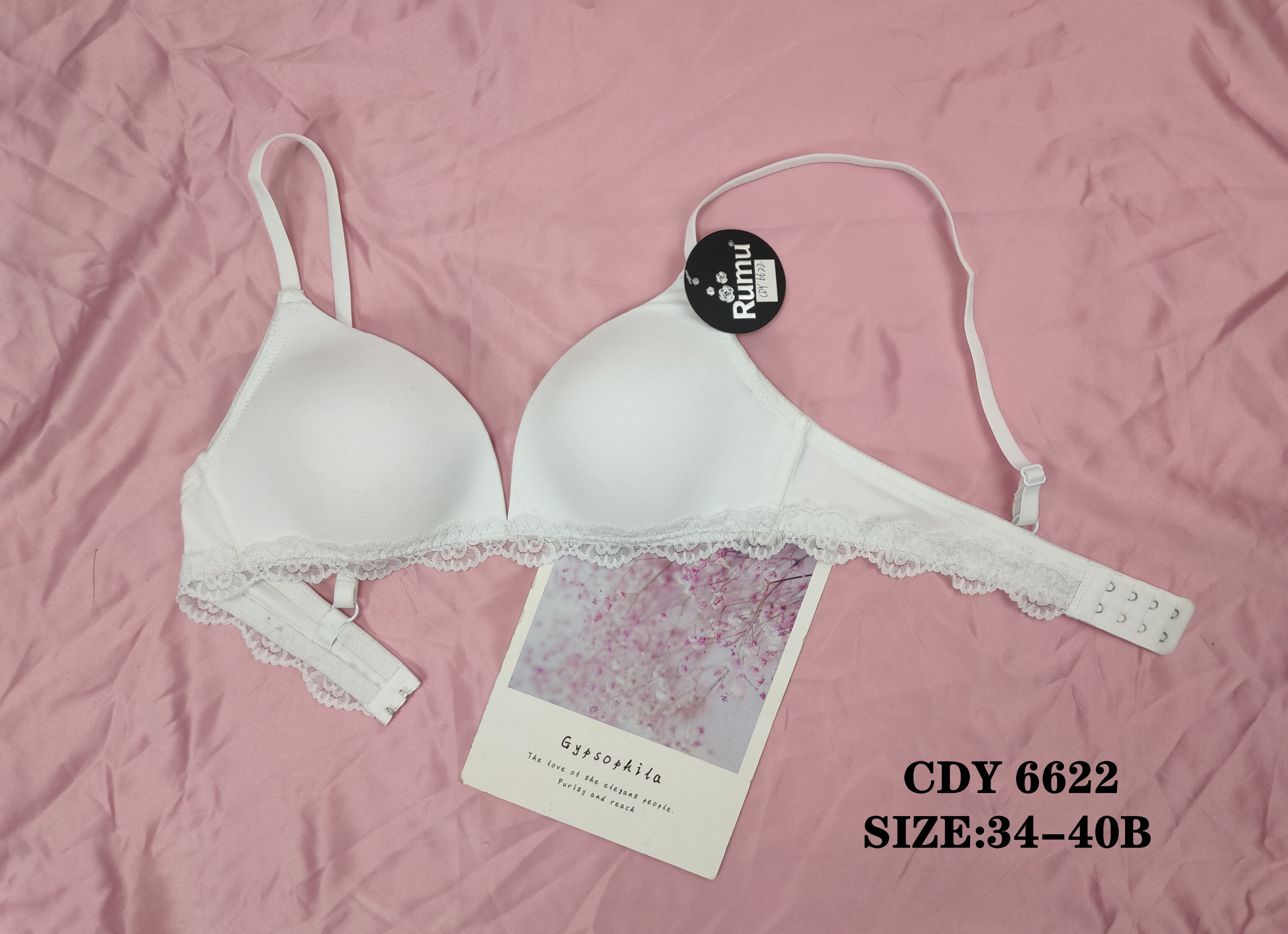 CDY6622