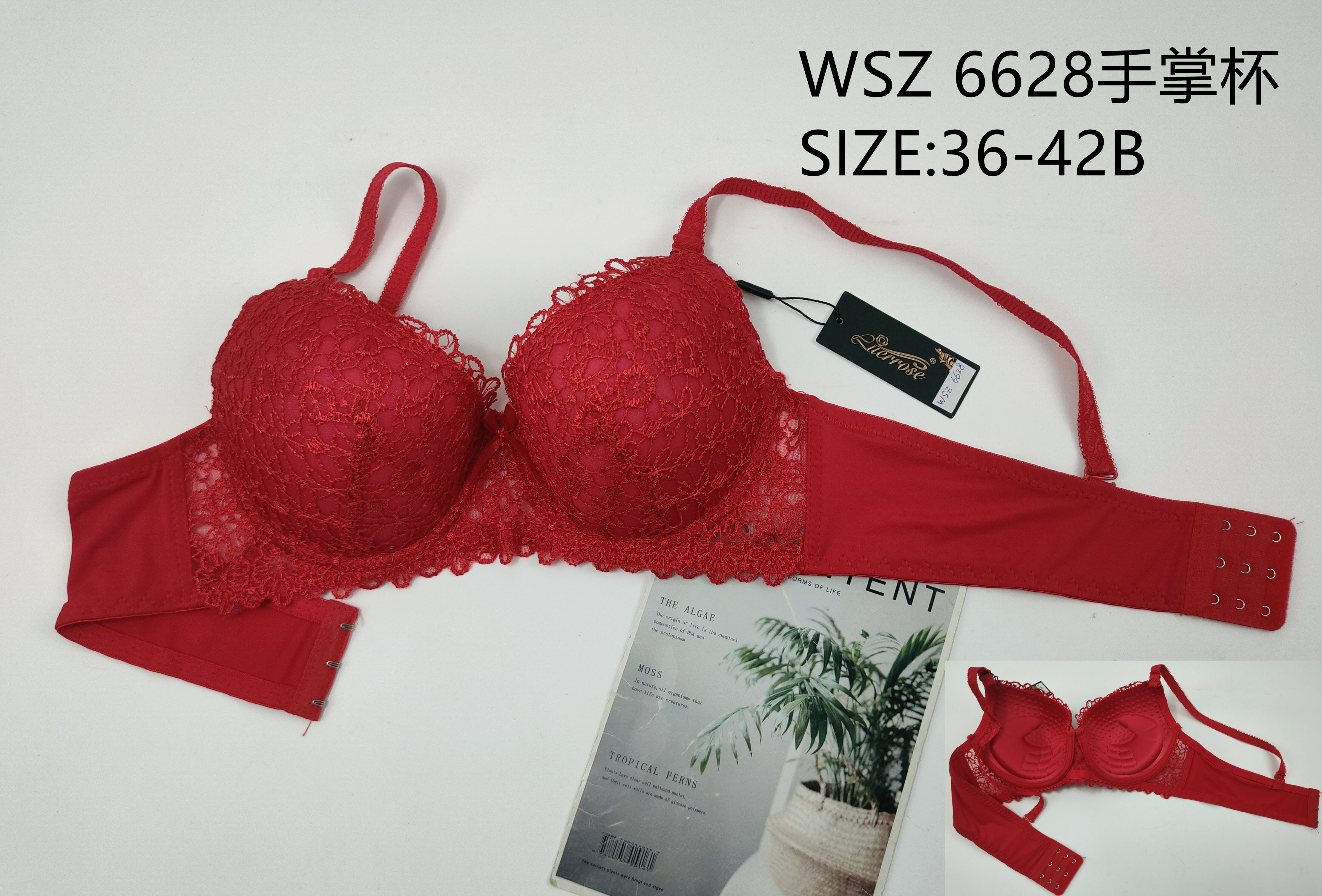 WSZ6628手掌杯
