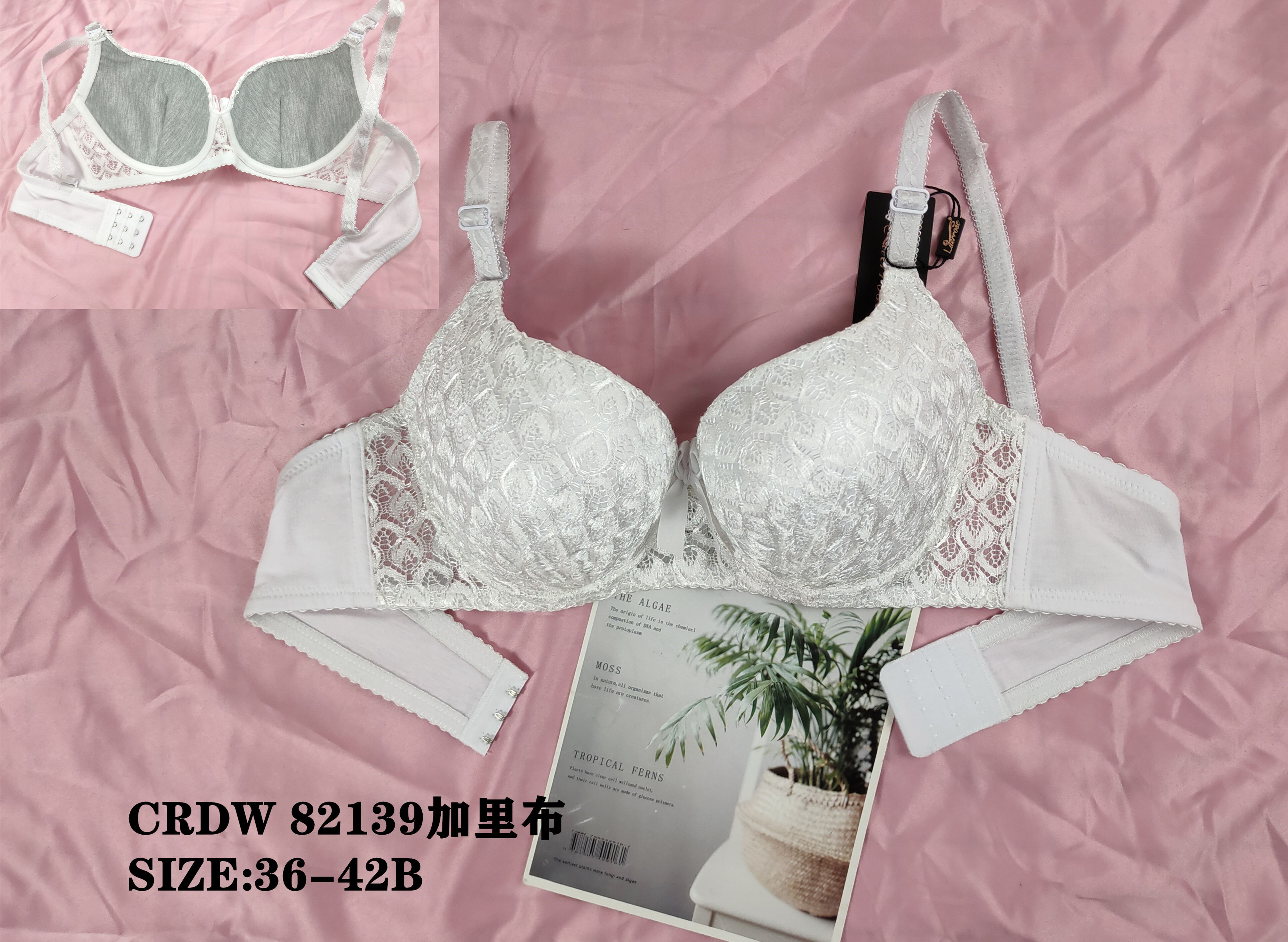 CRDW82139,bra