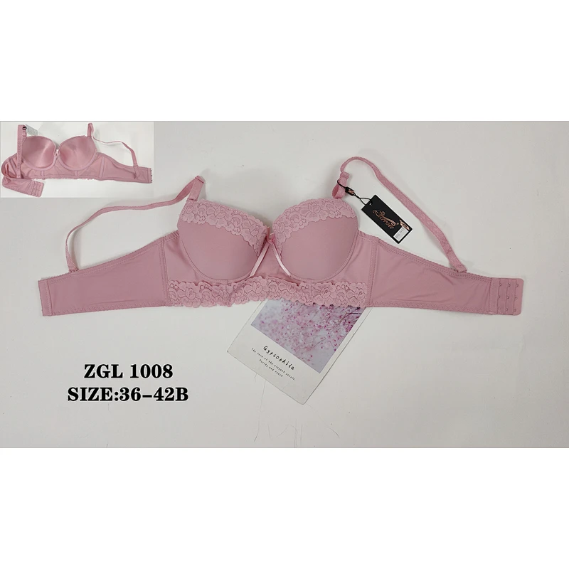 ZGL1008