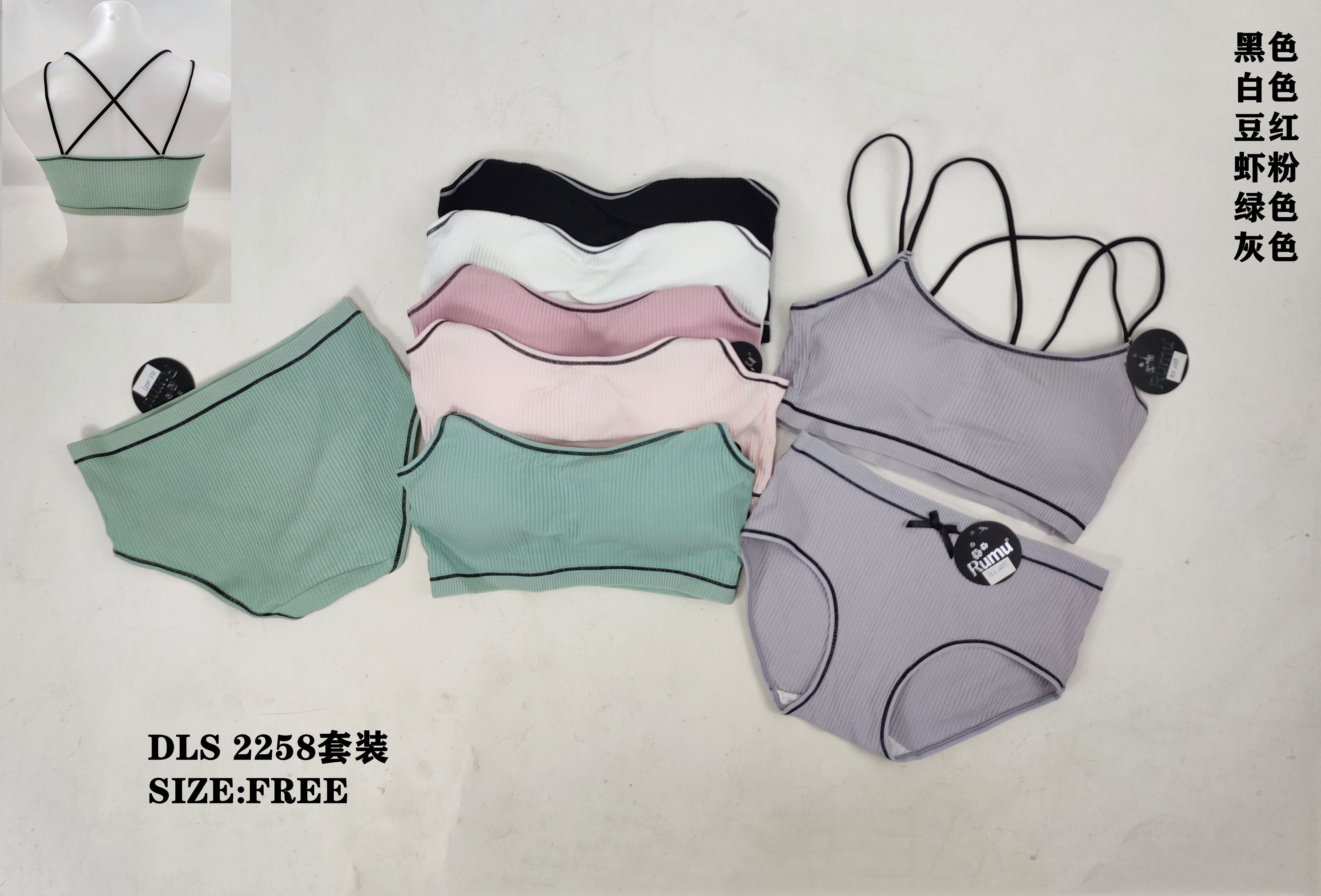 DLS2258套装