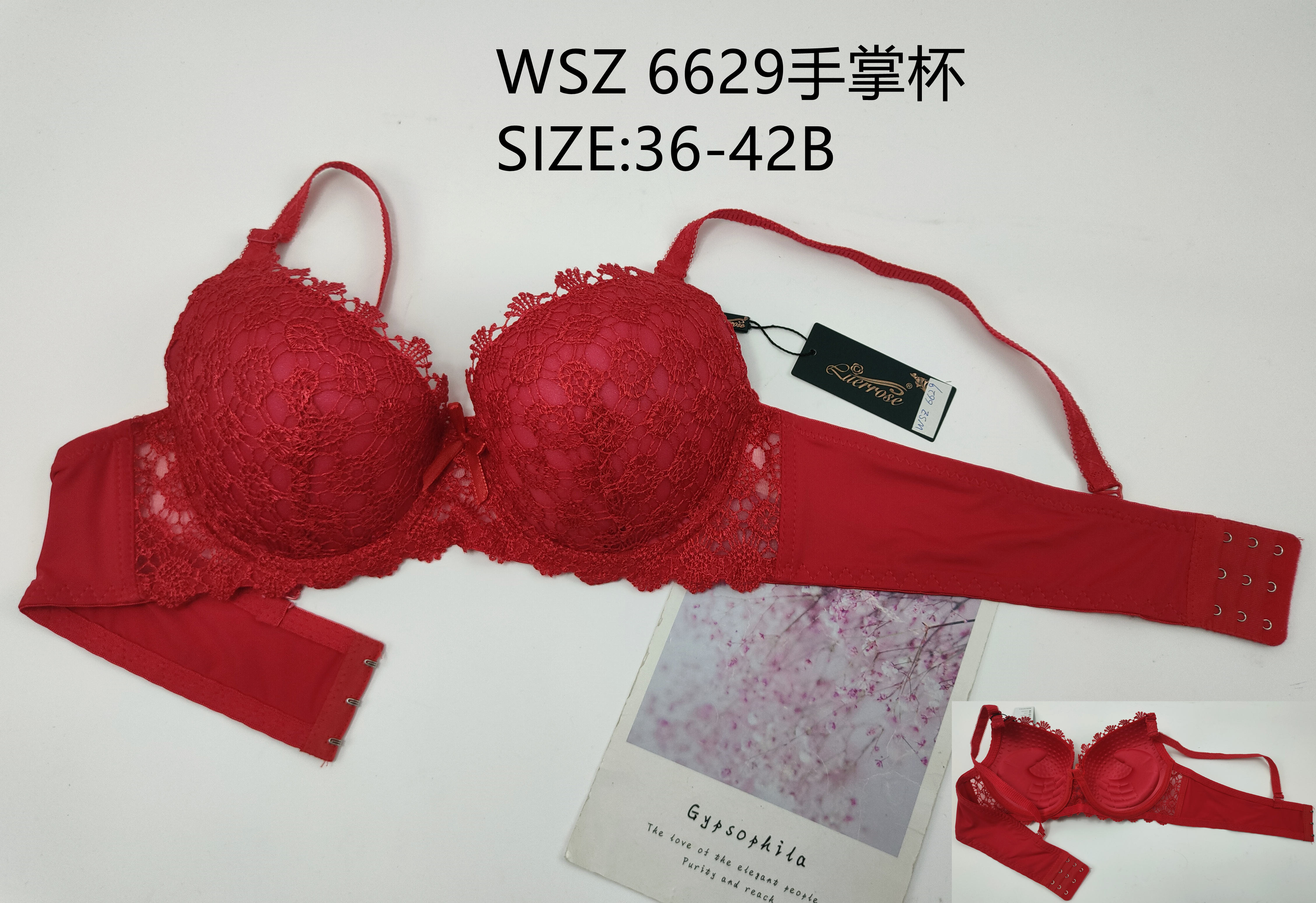 WSZ6629手掌杯
