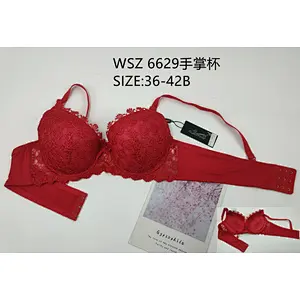 WSZ6629手掌杯