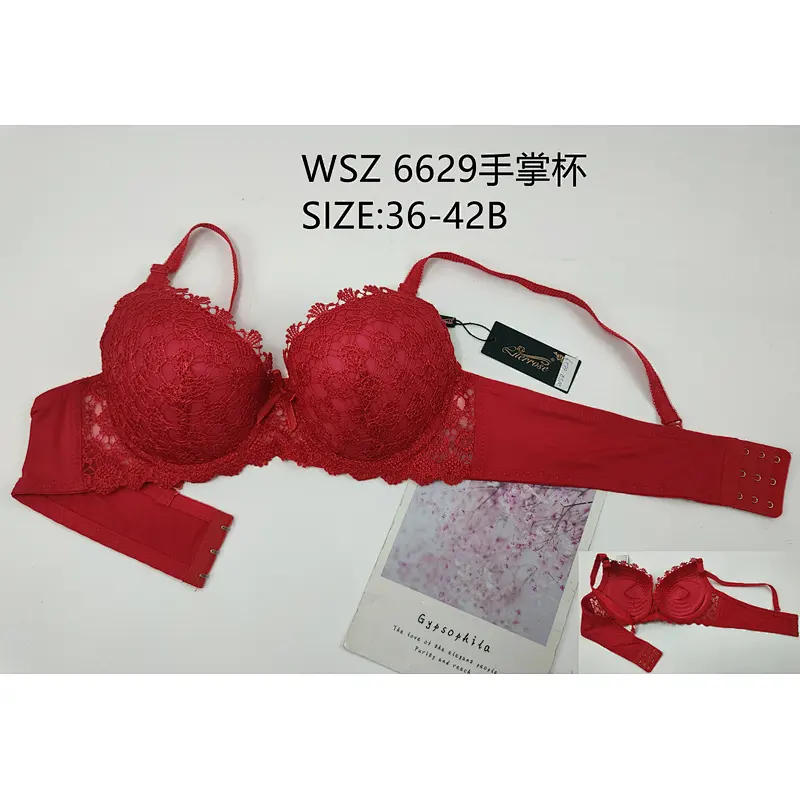 WSZ6629手掌杯