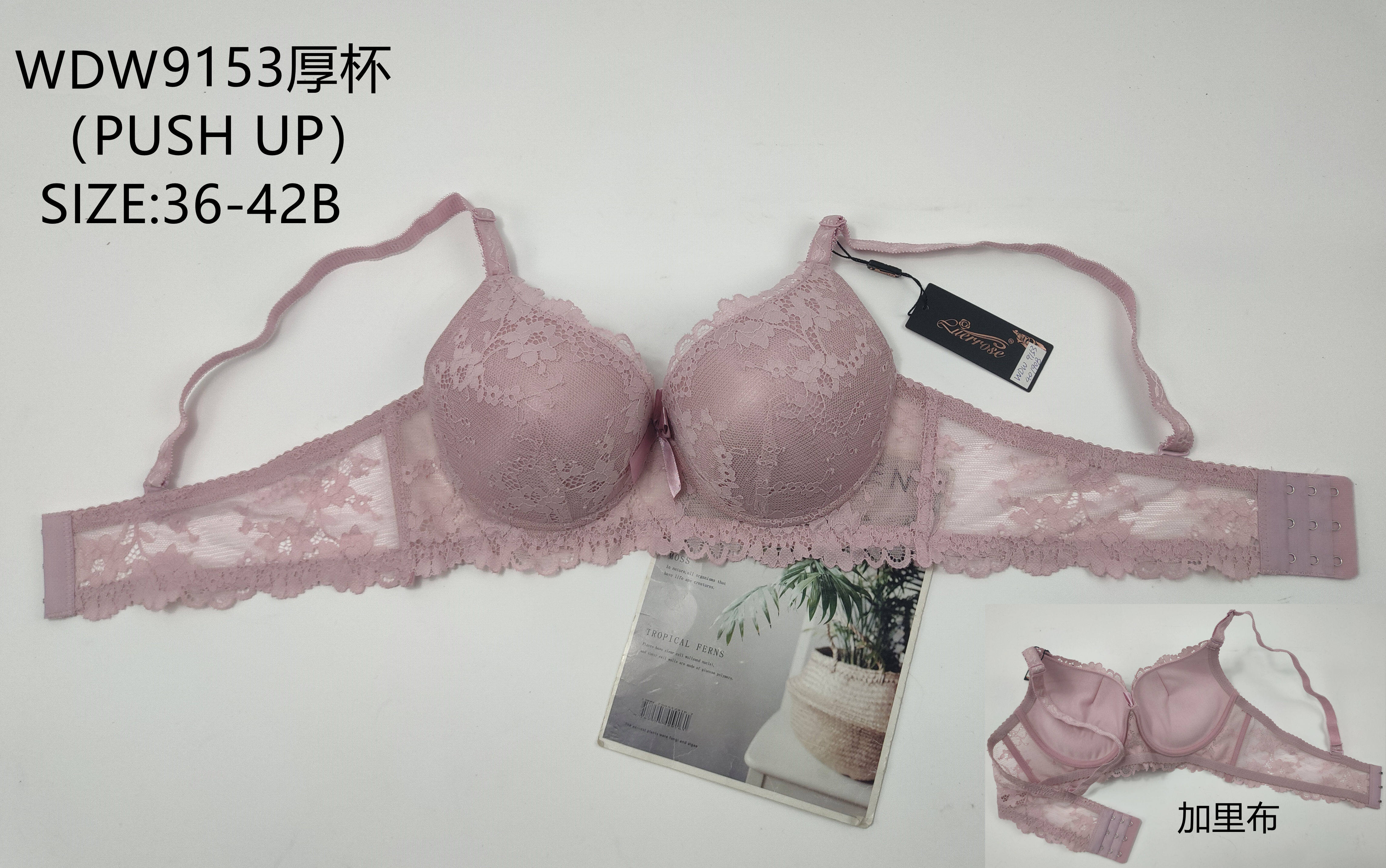 WDW9153厚杯,bra