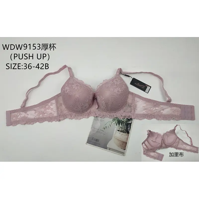 WDW9153厚杯,bra