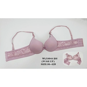 WLX6044厚杯，bra