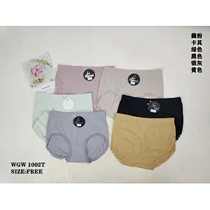 WGW1002T