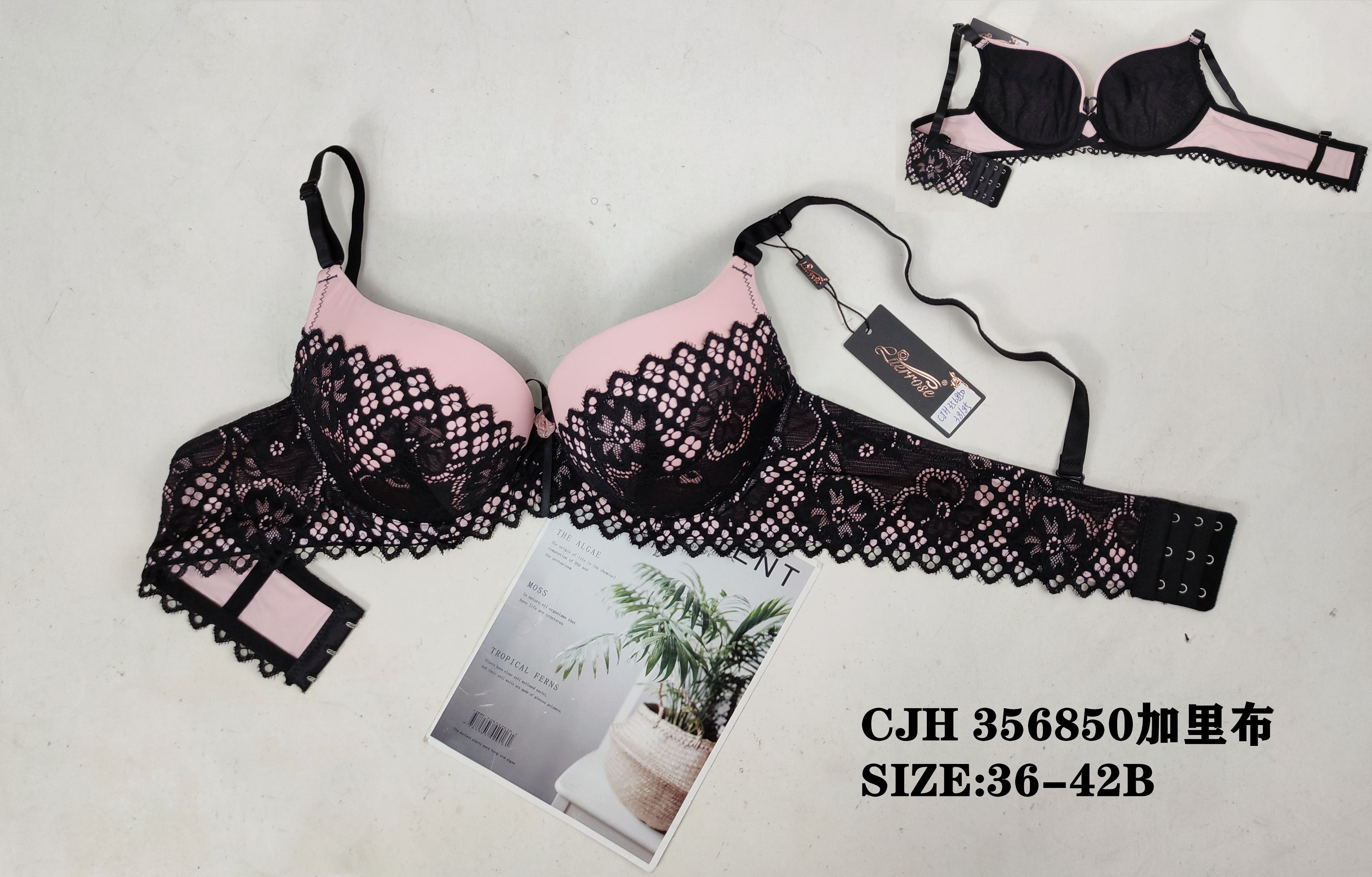 CJH356850,bra