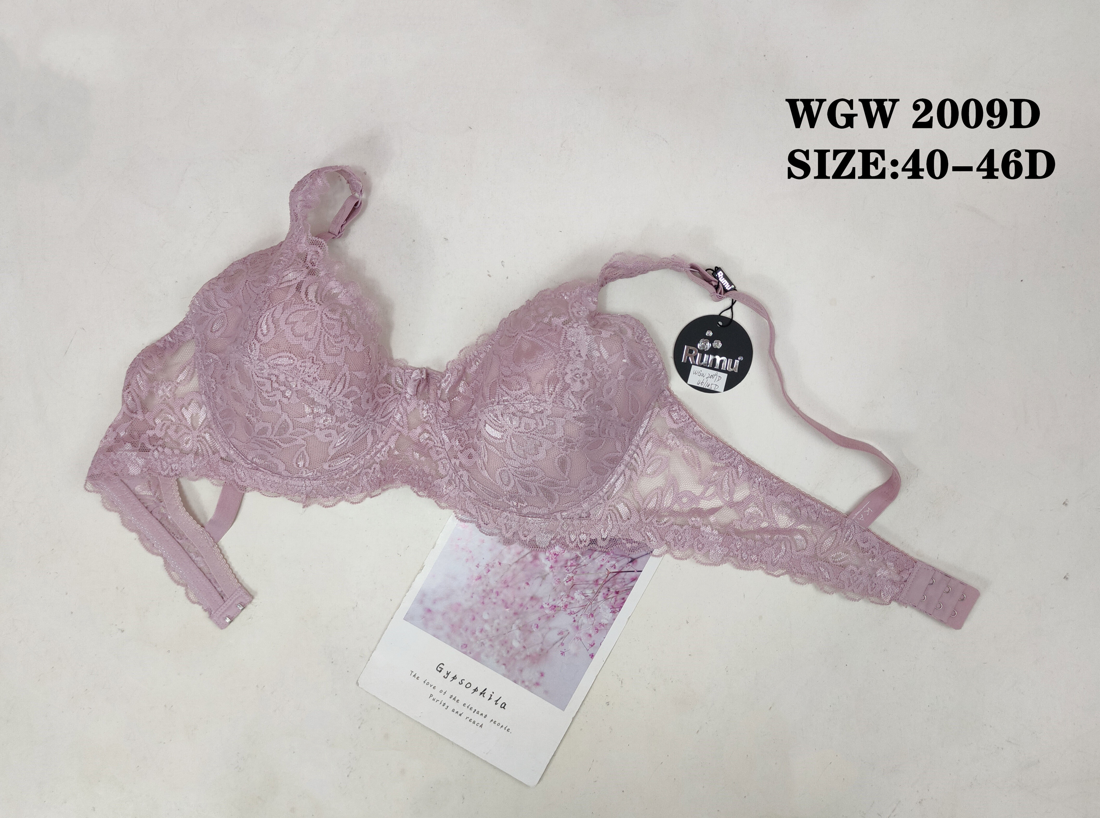 WGW2009