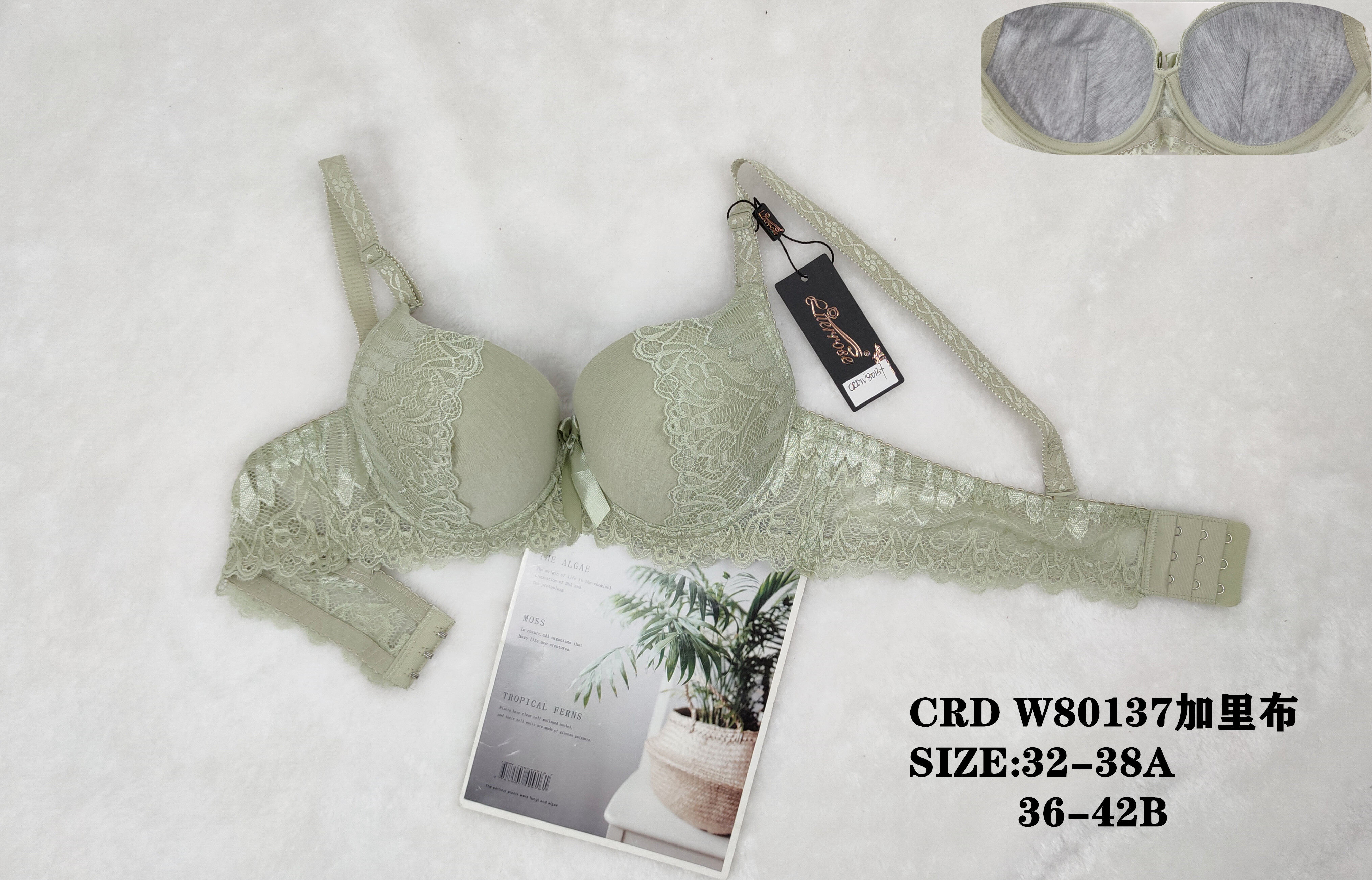 CRDW80137,bra