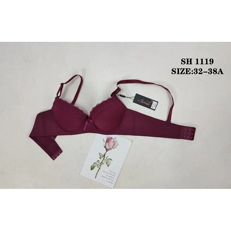 SH1119