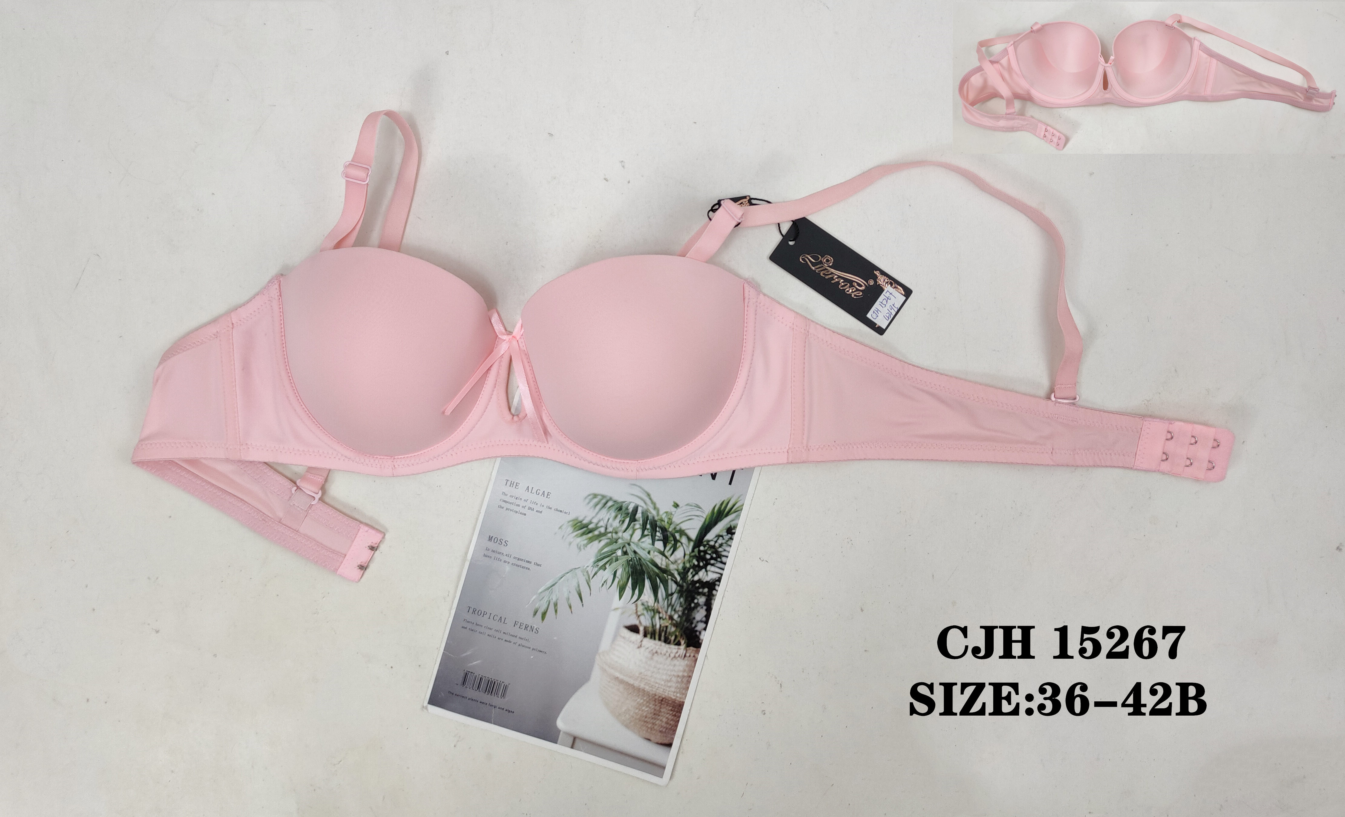 CJH15267,bra