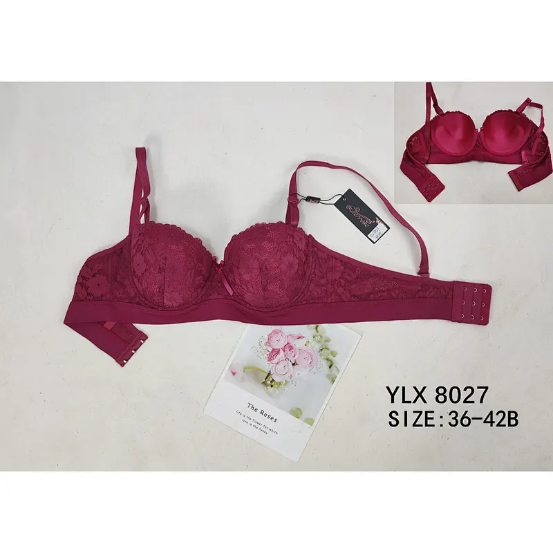 YLX8027,bra