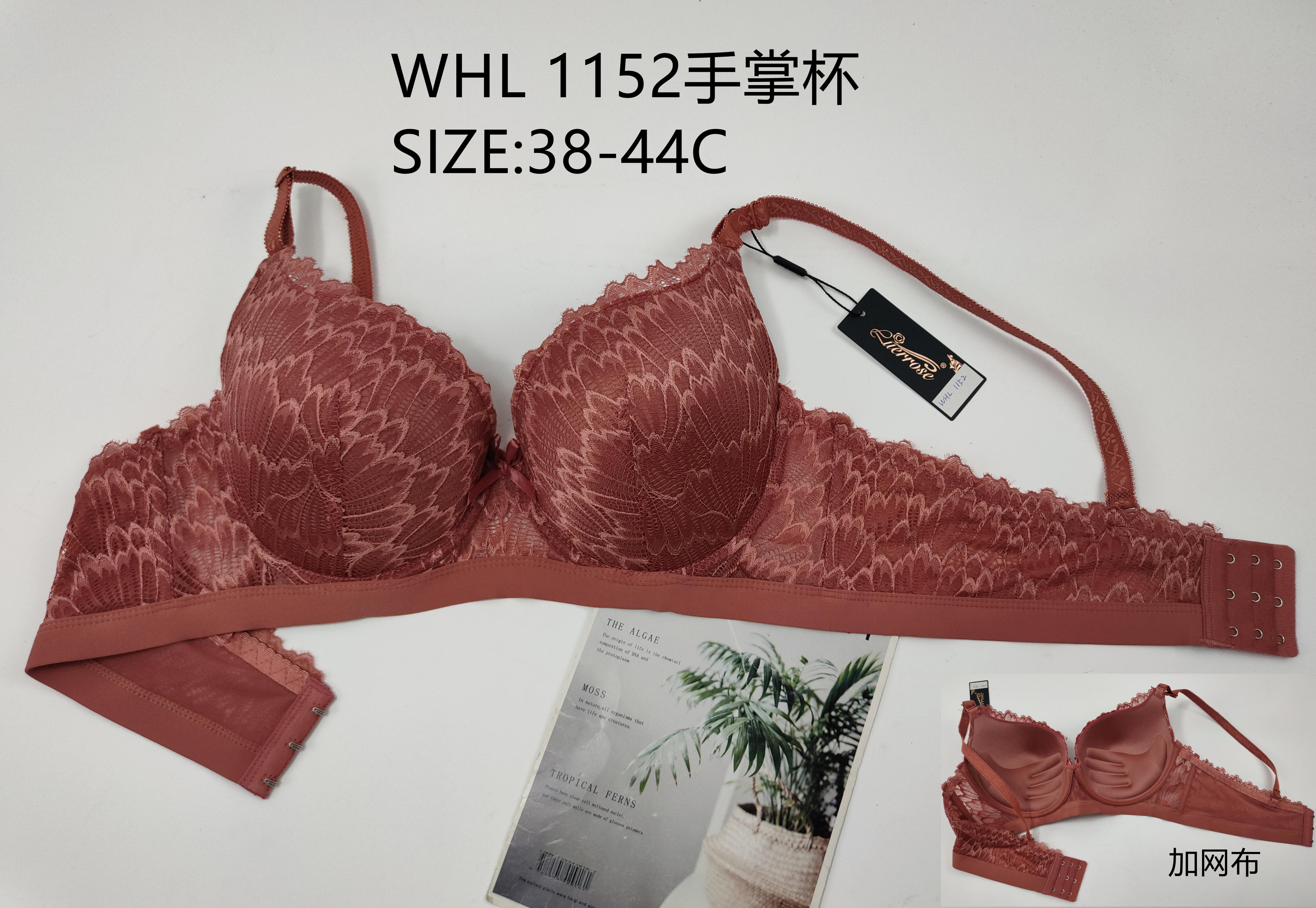 WHL1152手掌杯,bra