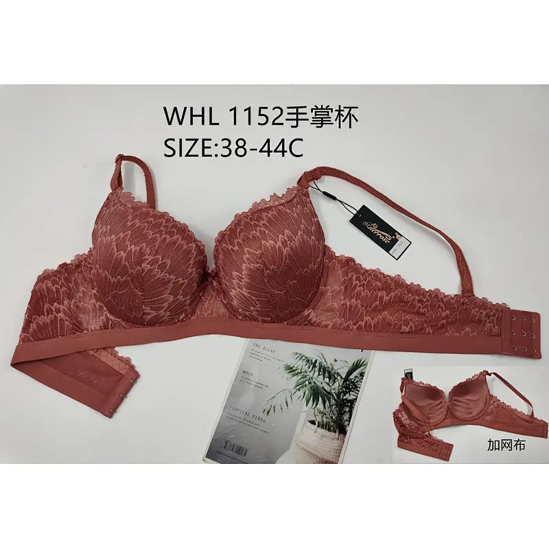 WHL1152手掌杯,bra