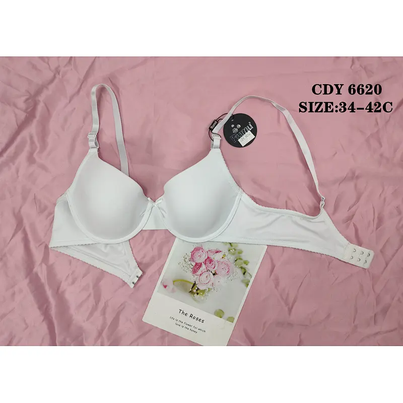 CDY6620