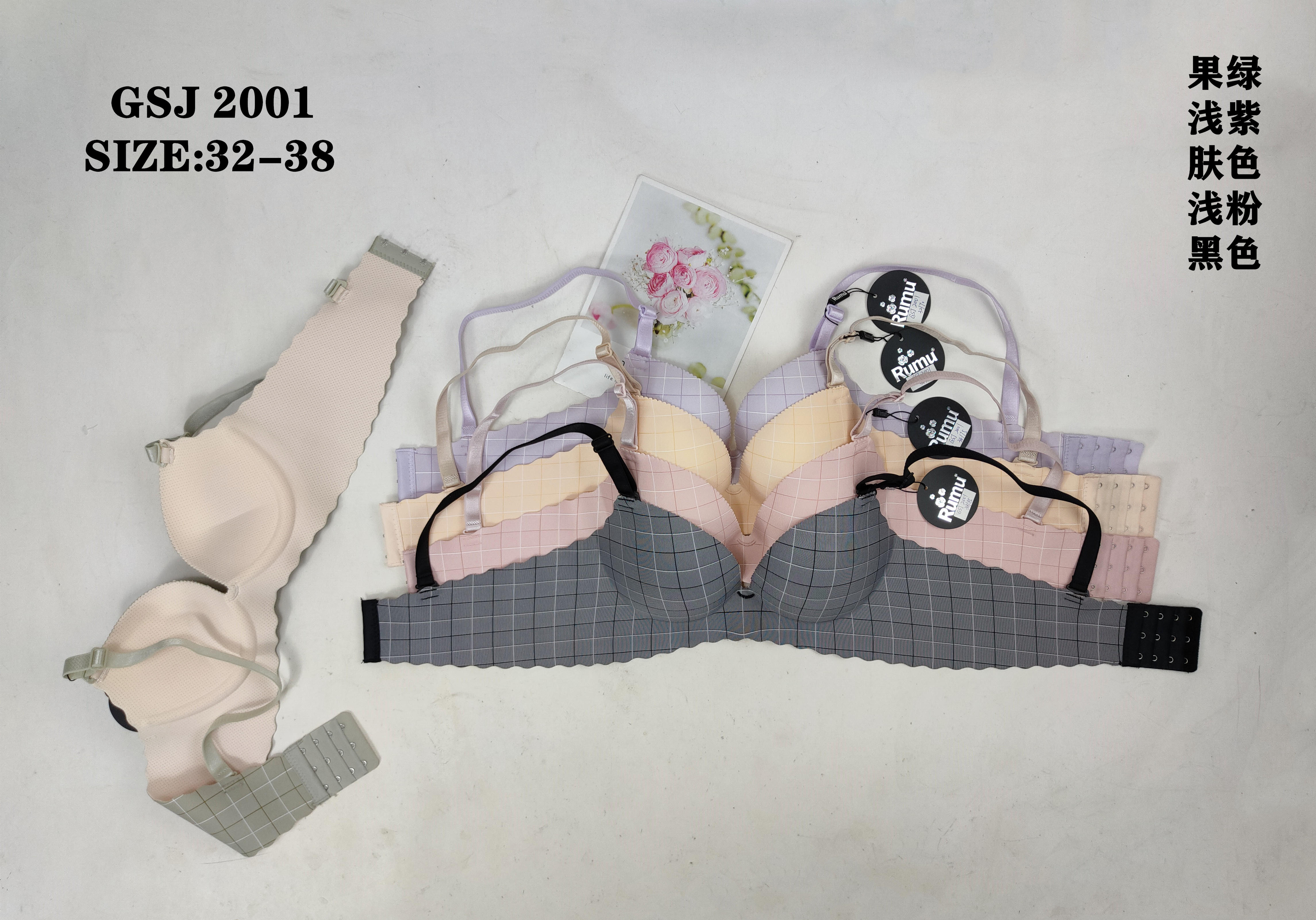 GSJ2001,bra