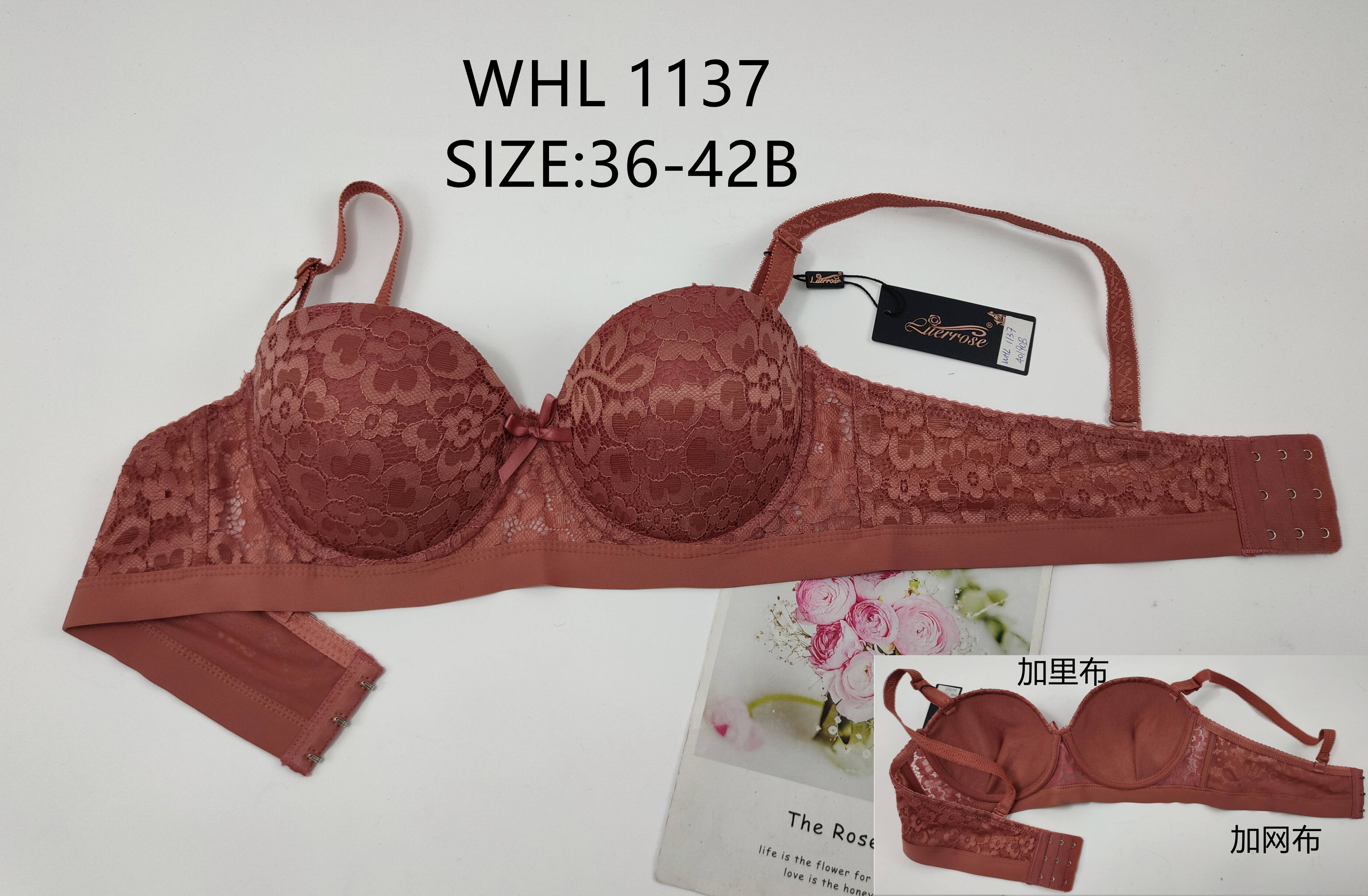 WHL1137