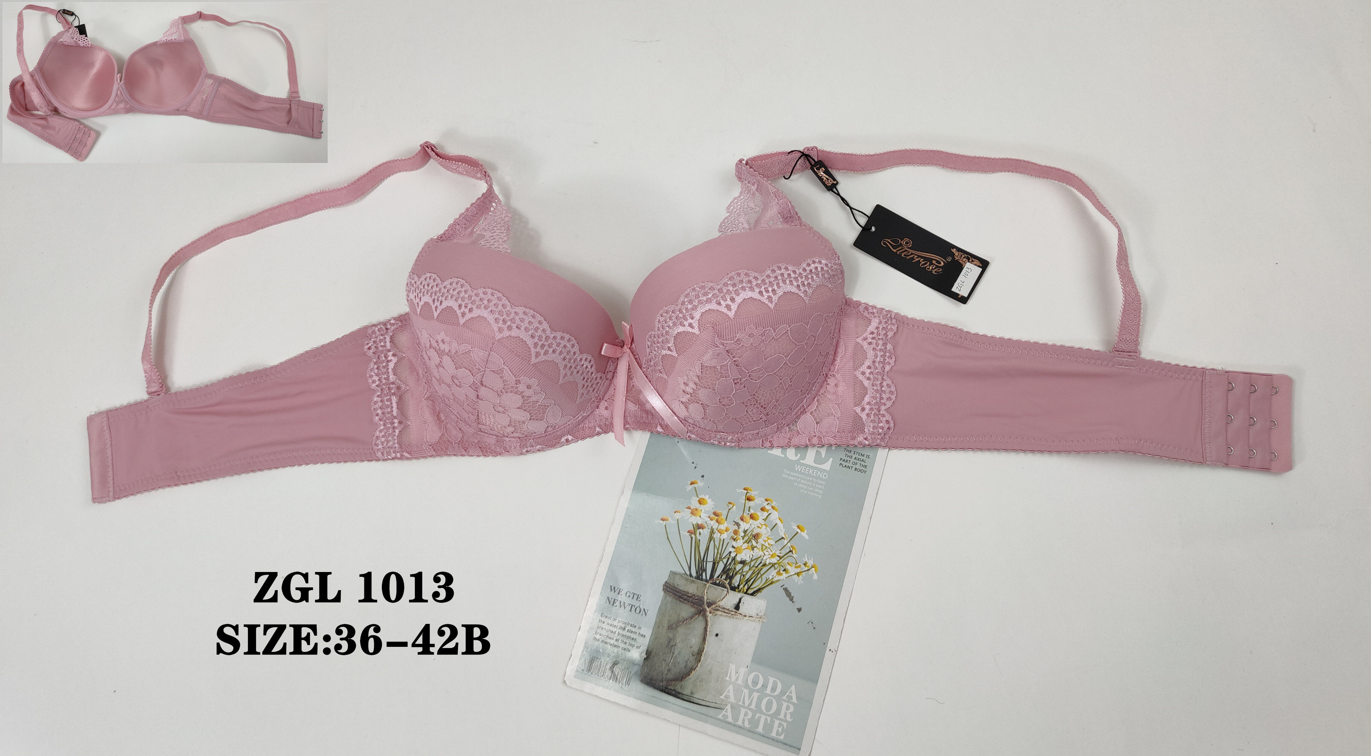 ZGL1013