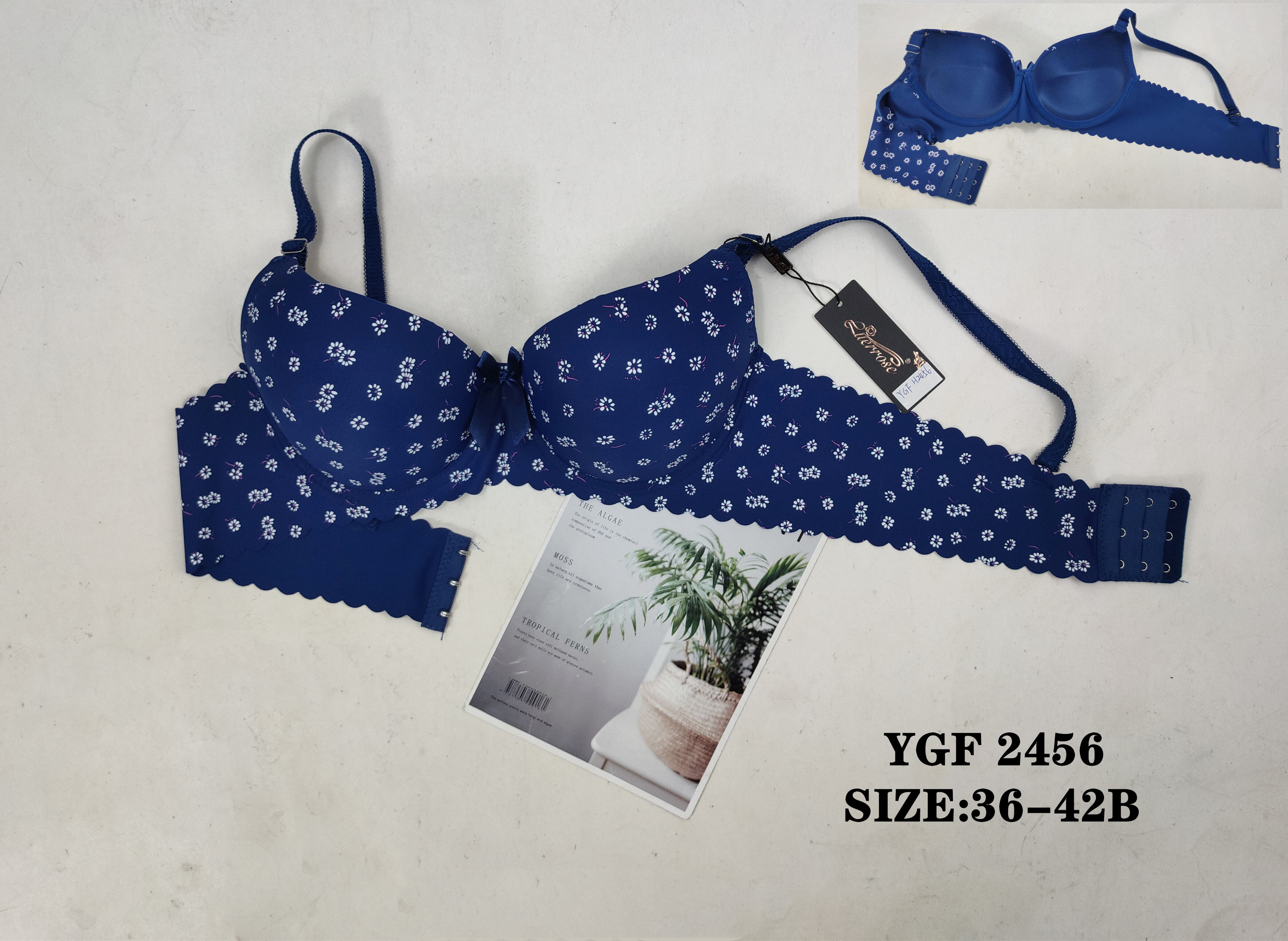 YGF2456