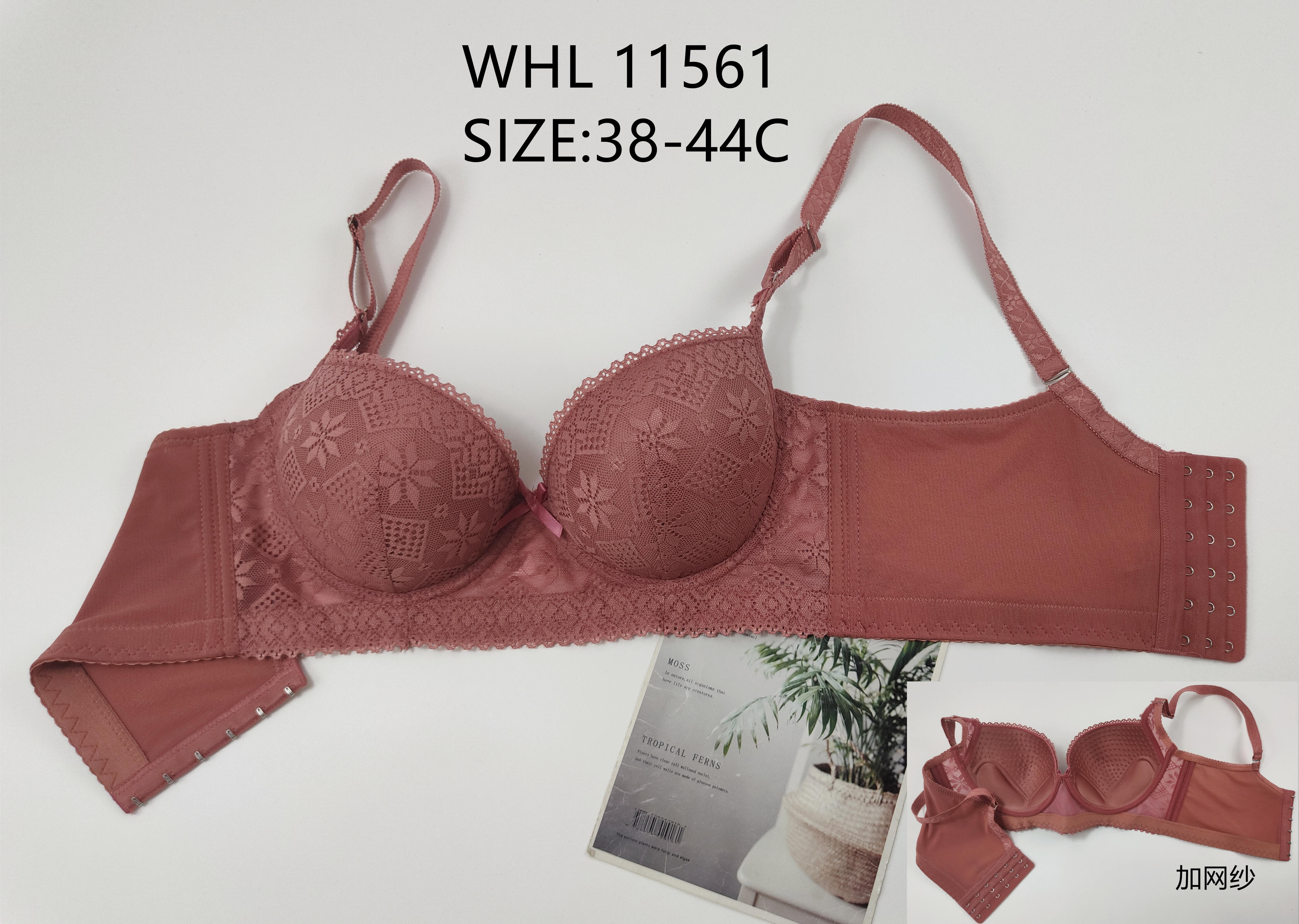 WHL11561