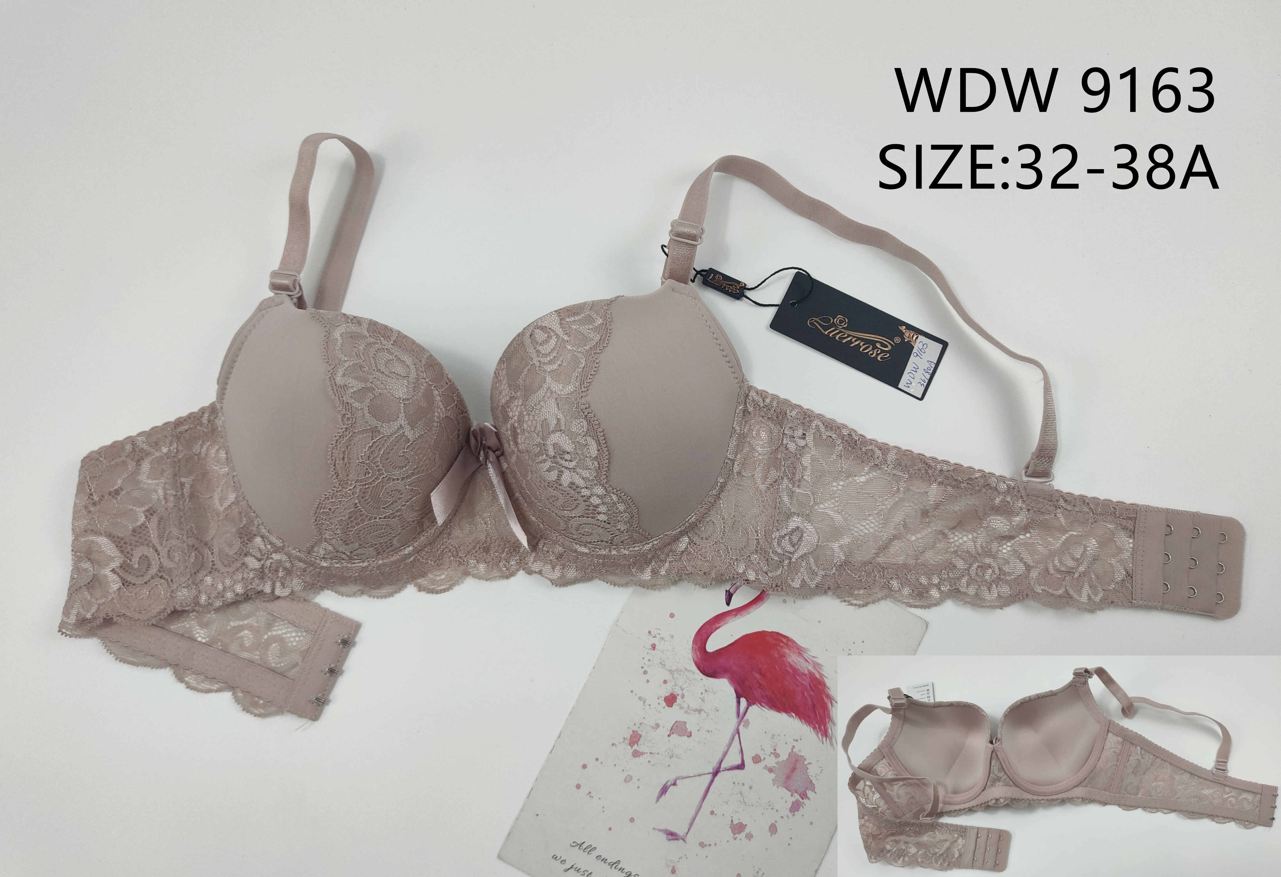 WDW9163,bra