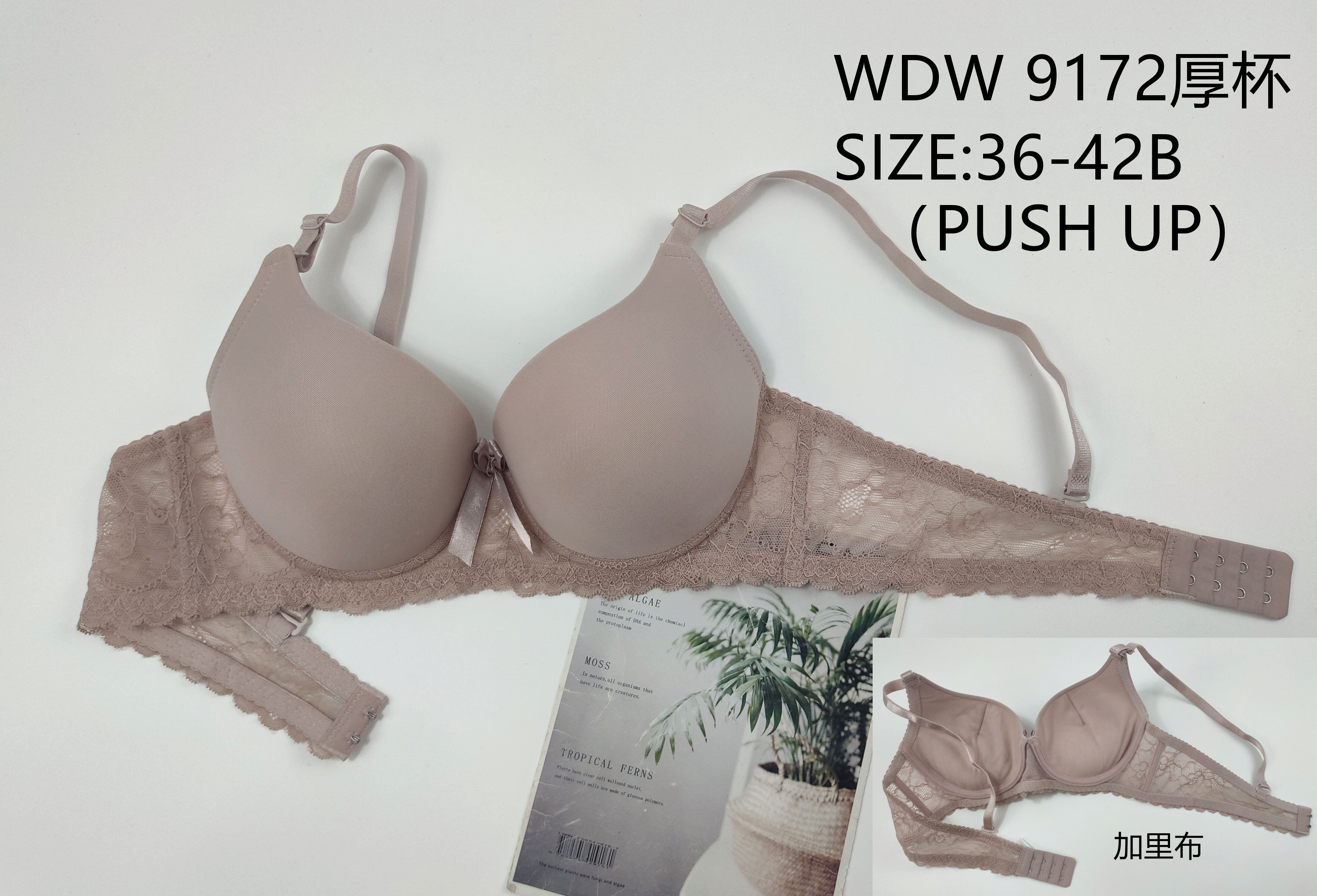 WDW9172厚杯,bra