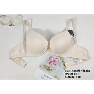 CWTK252