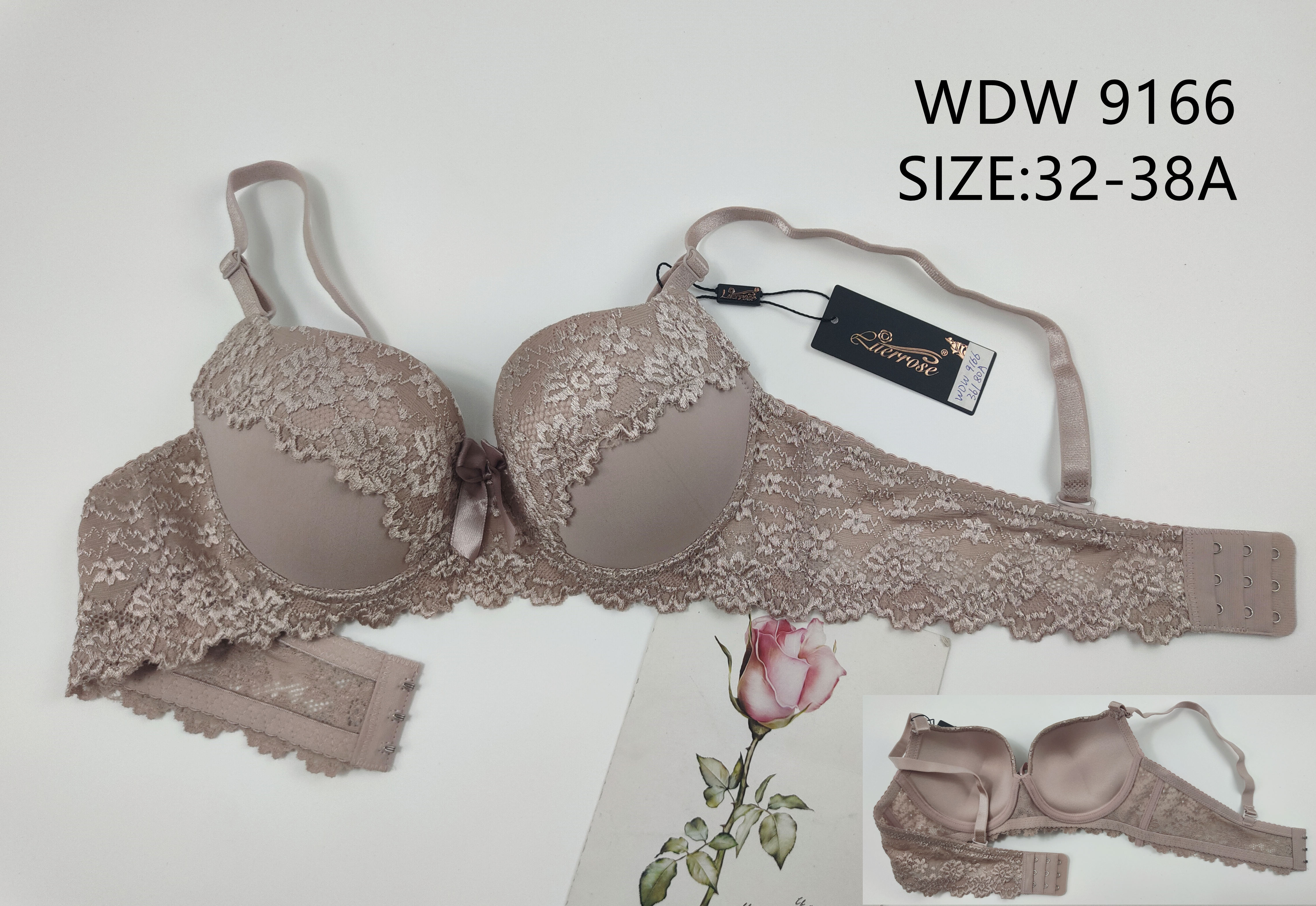 WDW9166,bra