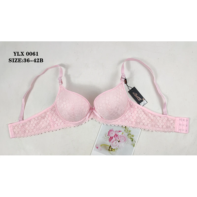 YLX0061