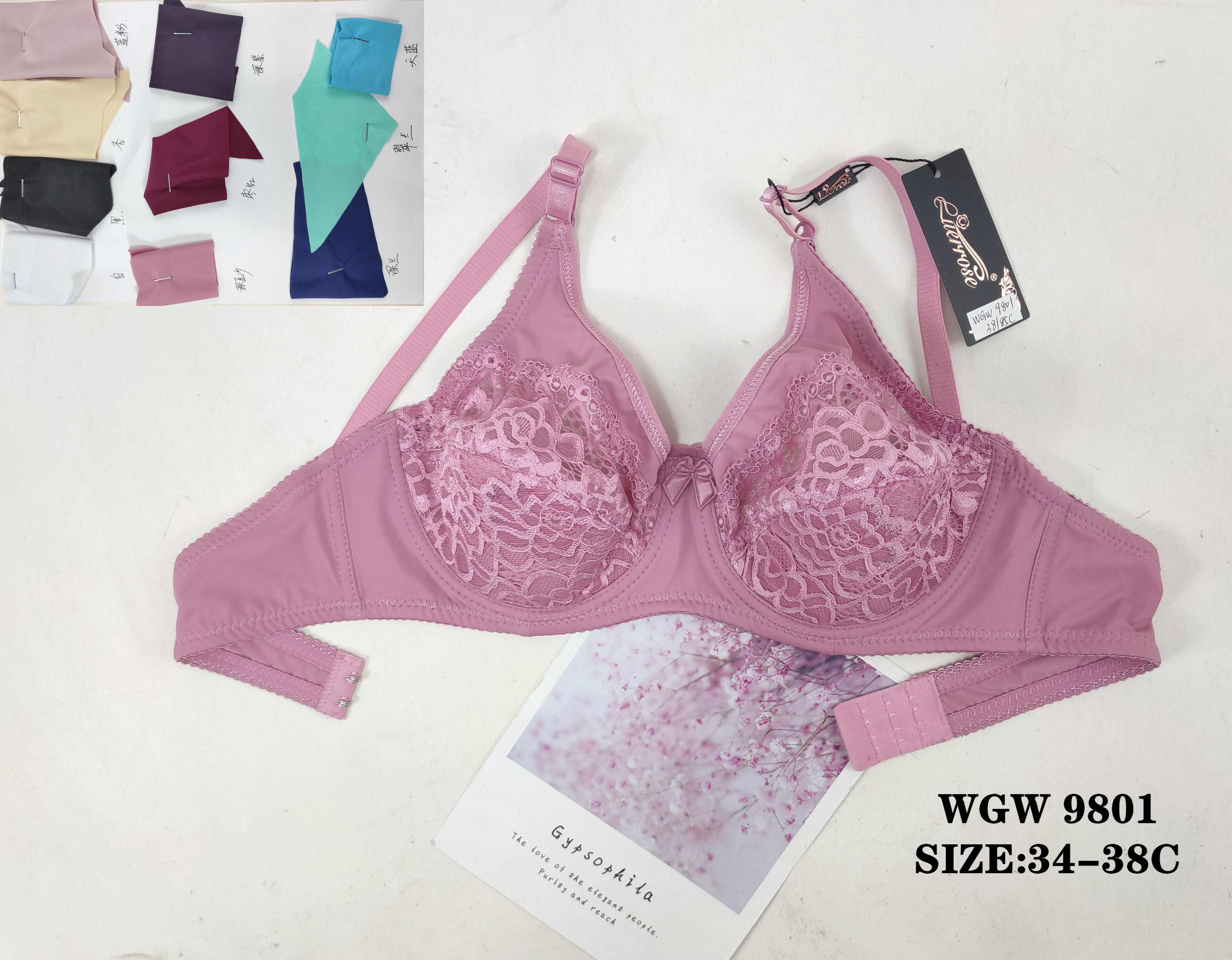 WGW9801