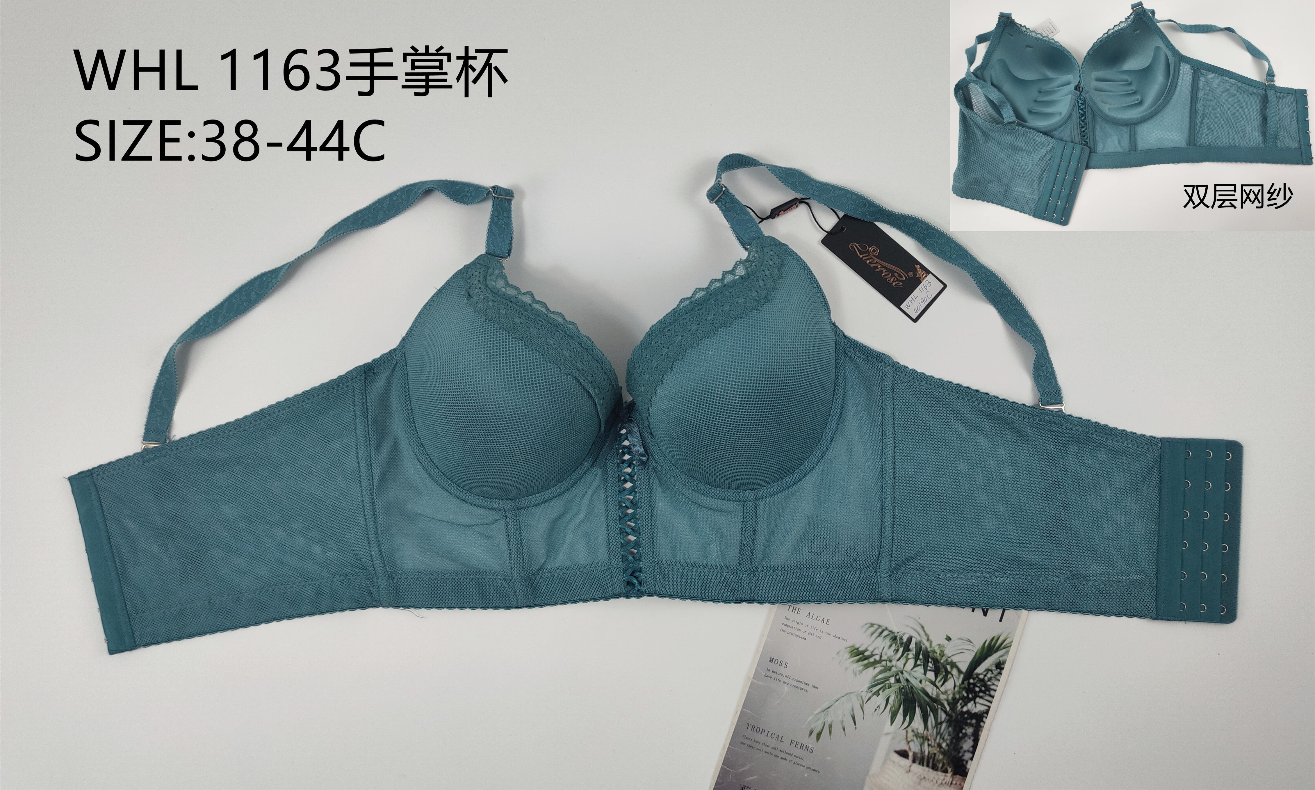 WHL1163手掌杯,bra