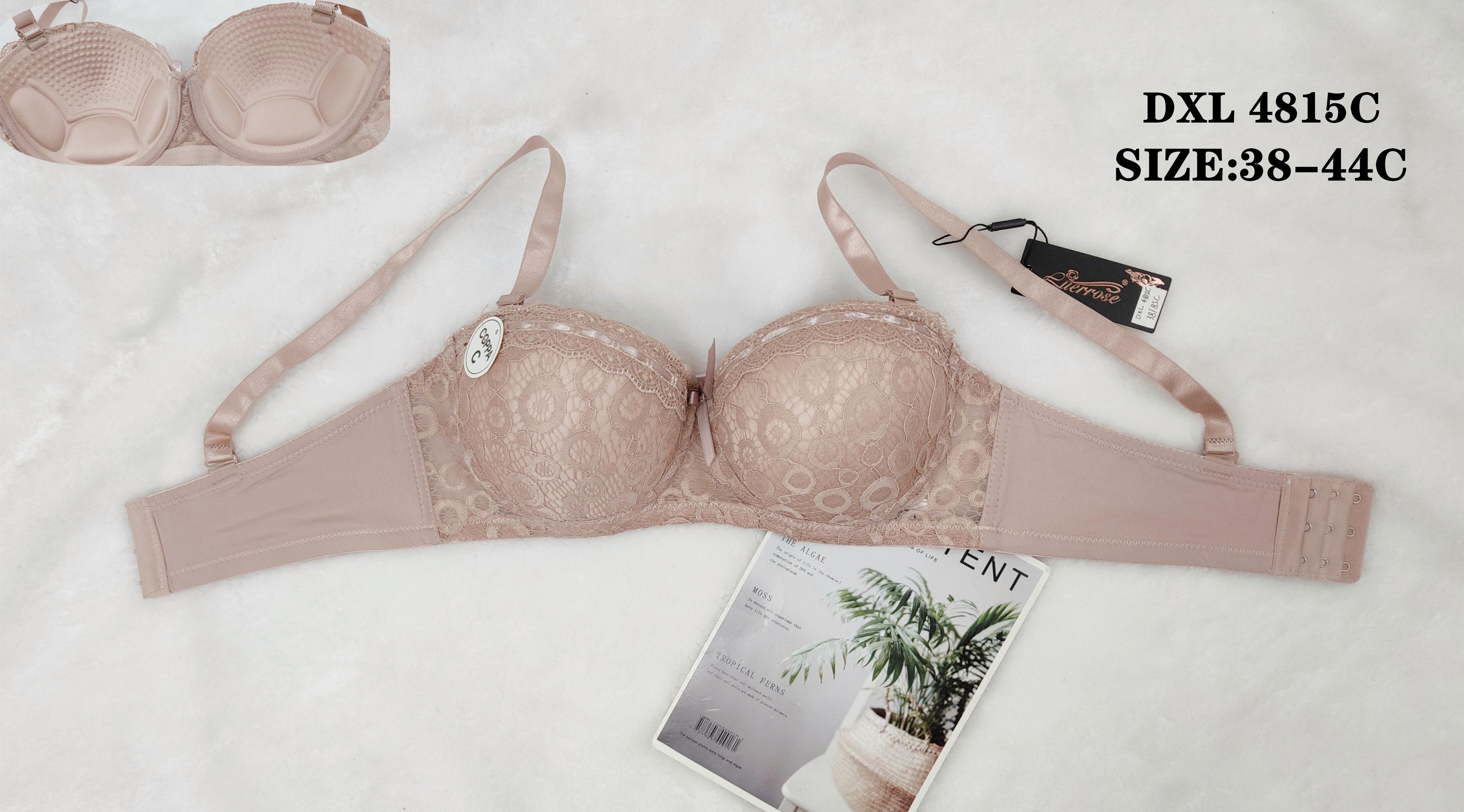 DXL4815,bra