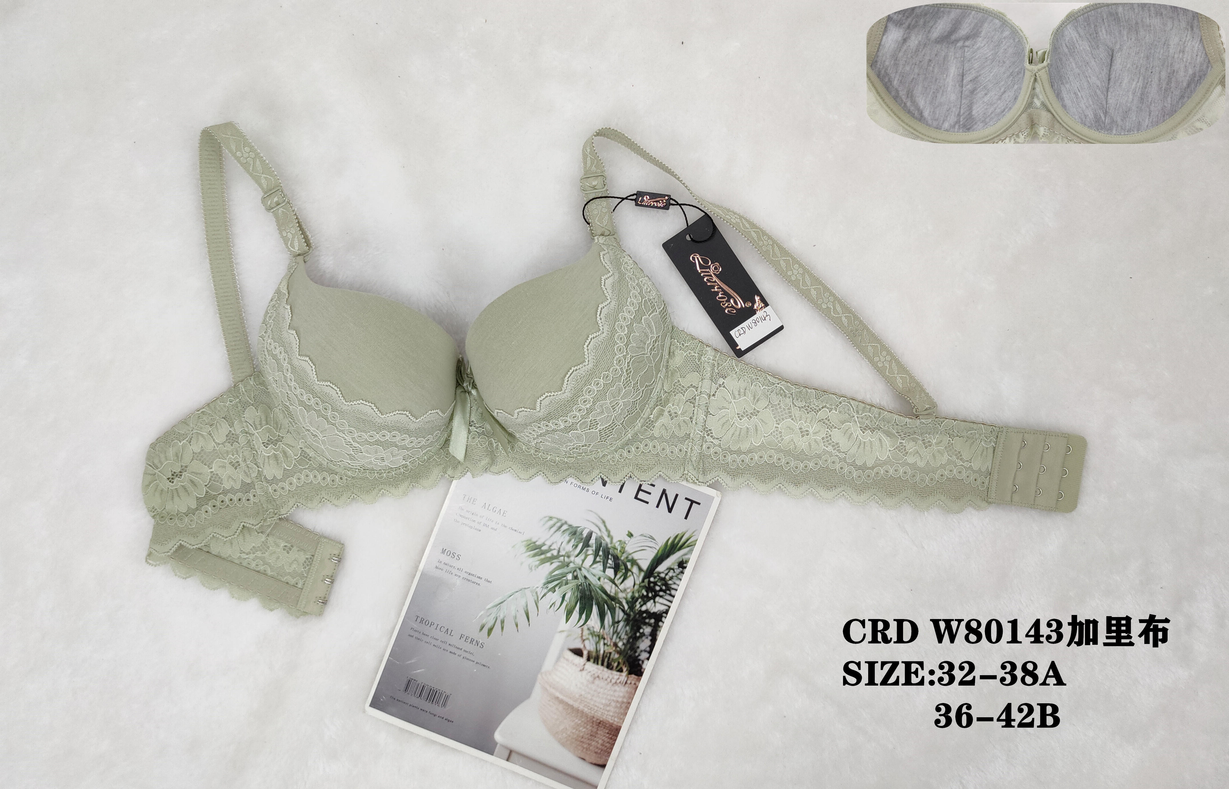 CRDW80143,bra