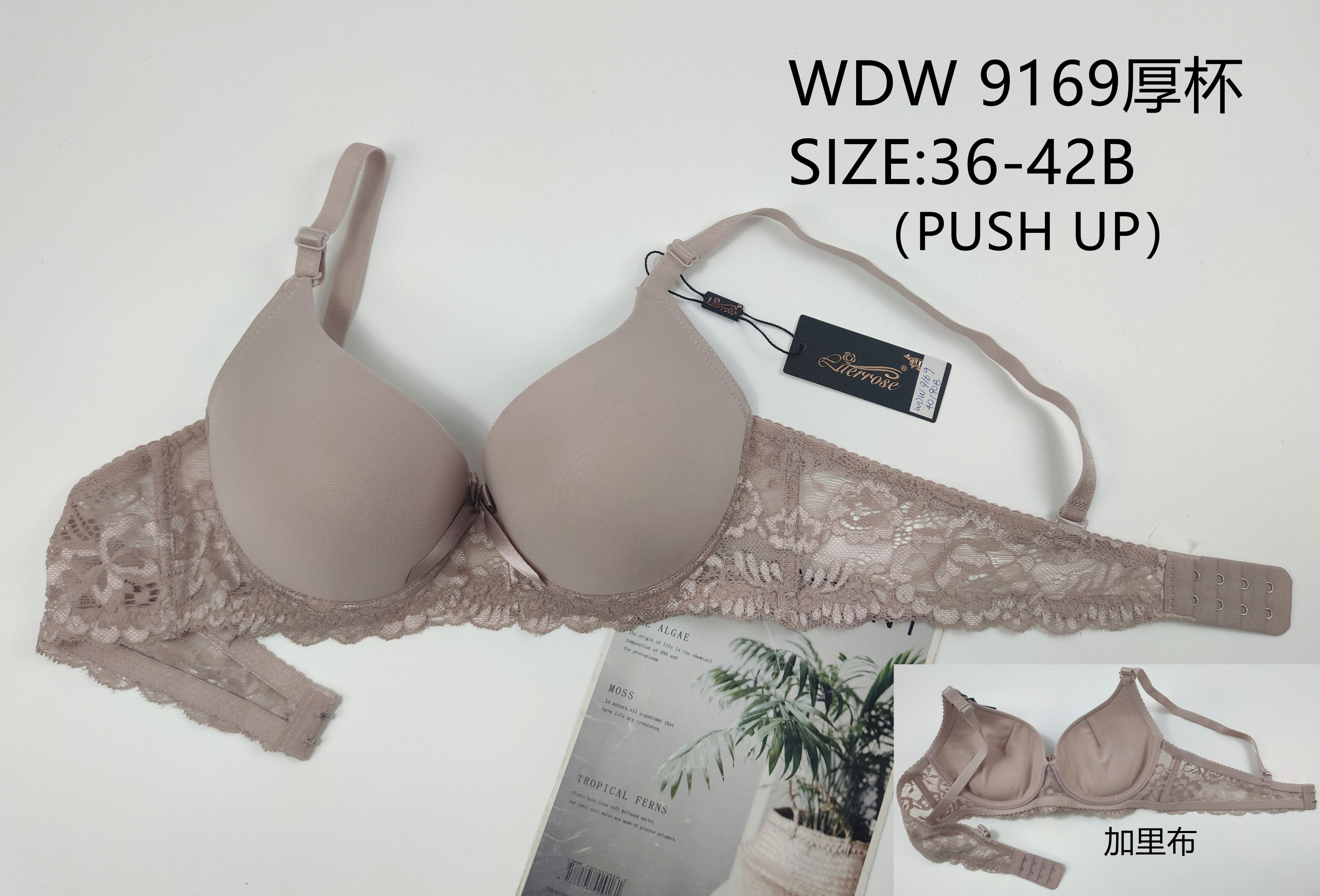 WDW9169厚杯,bra