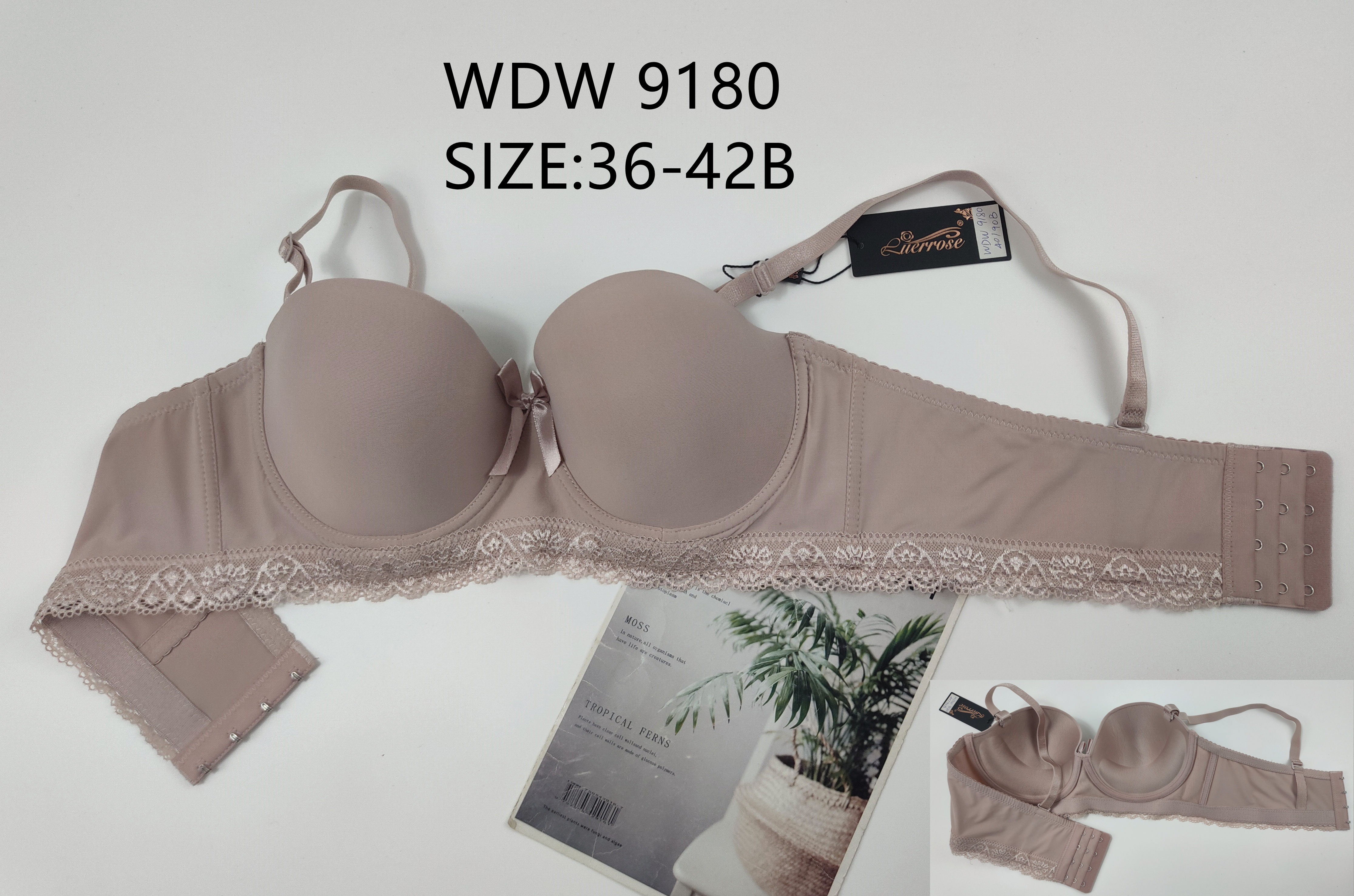 WDW9180,bra