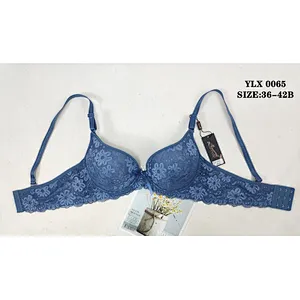 YLX0065