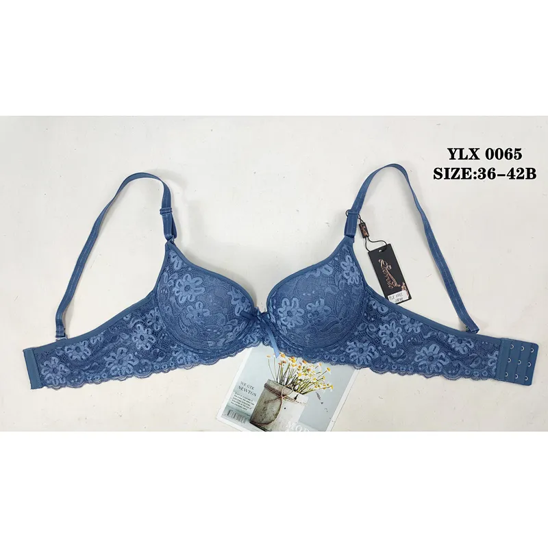 YLX0065