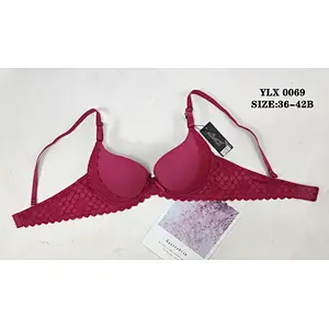 YLX0069