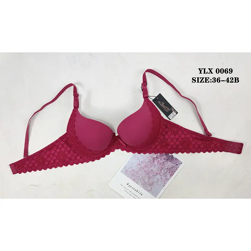 YLX0069