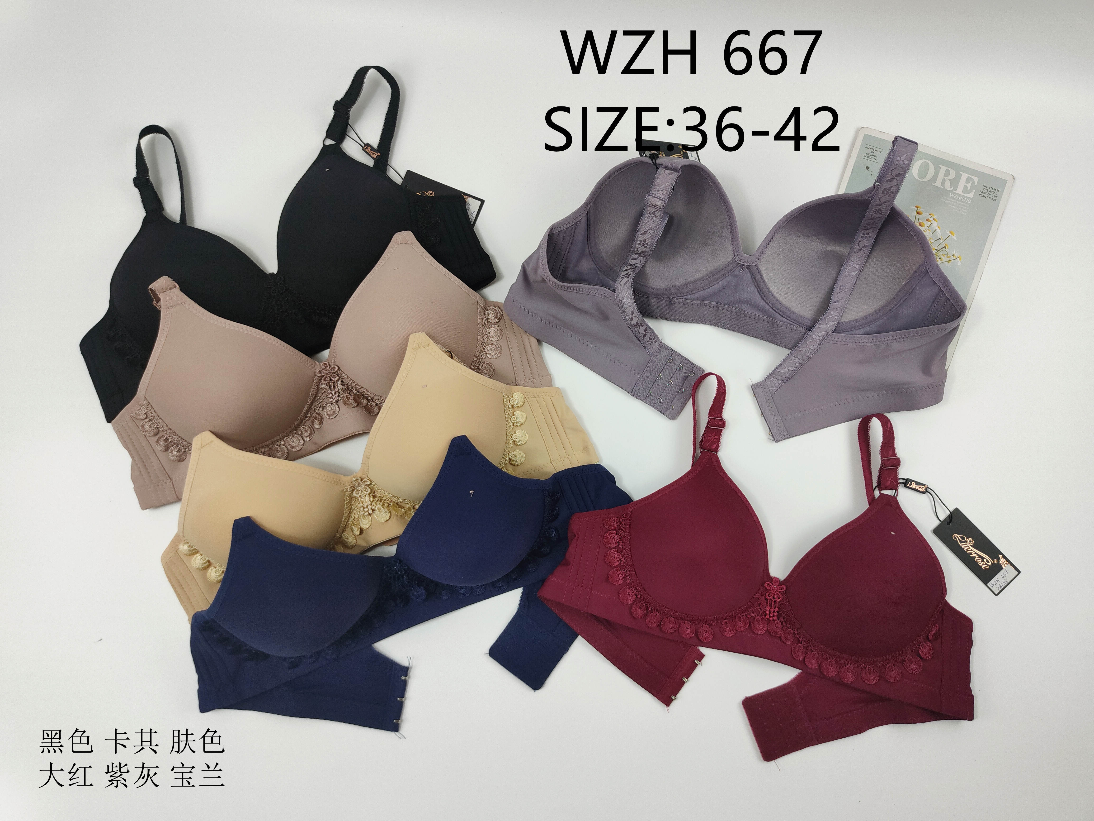 WZH667,bra