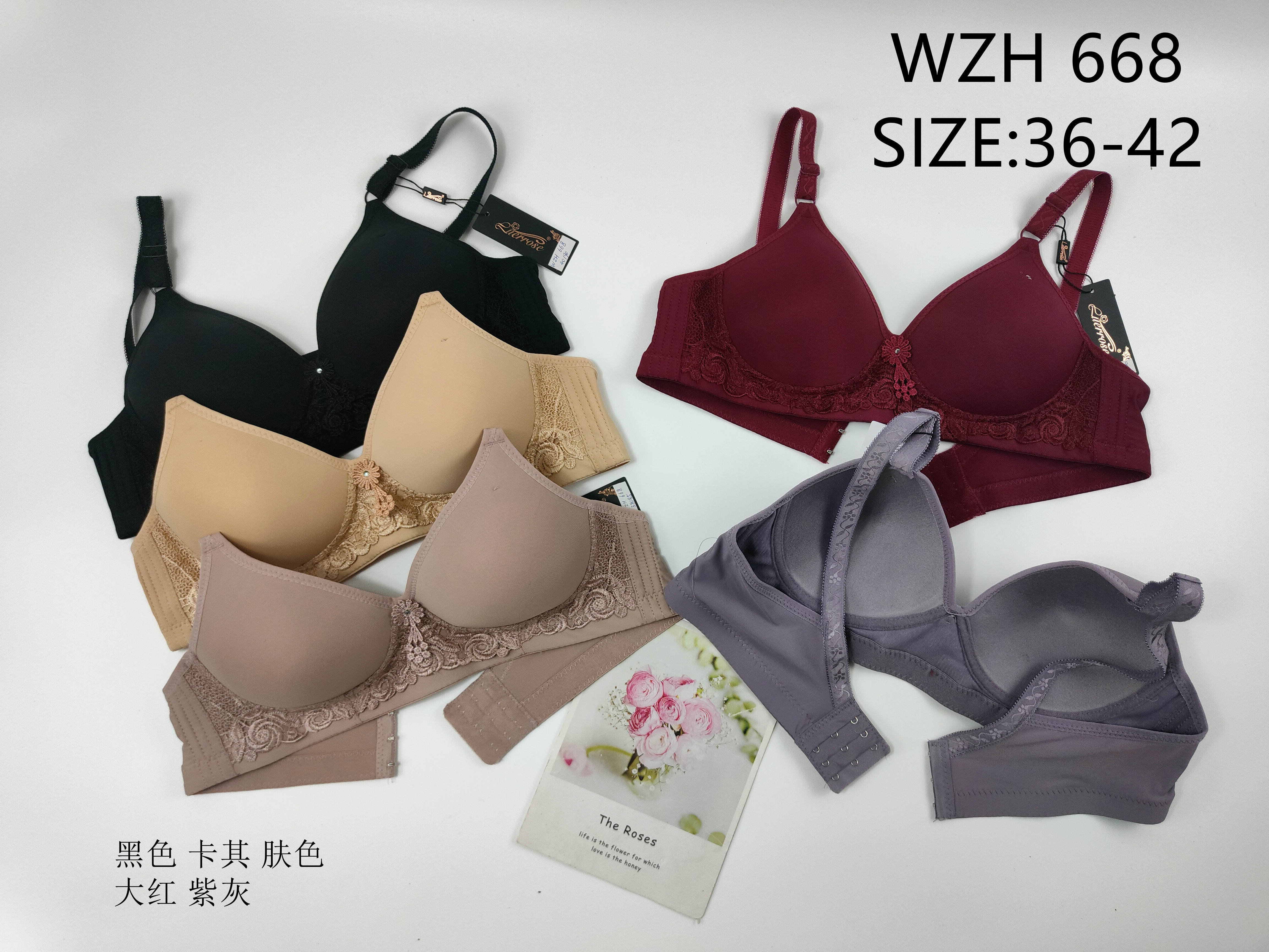 WZH668,bra