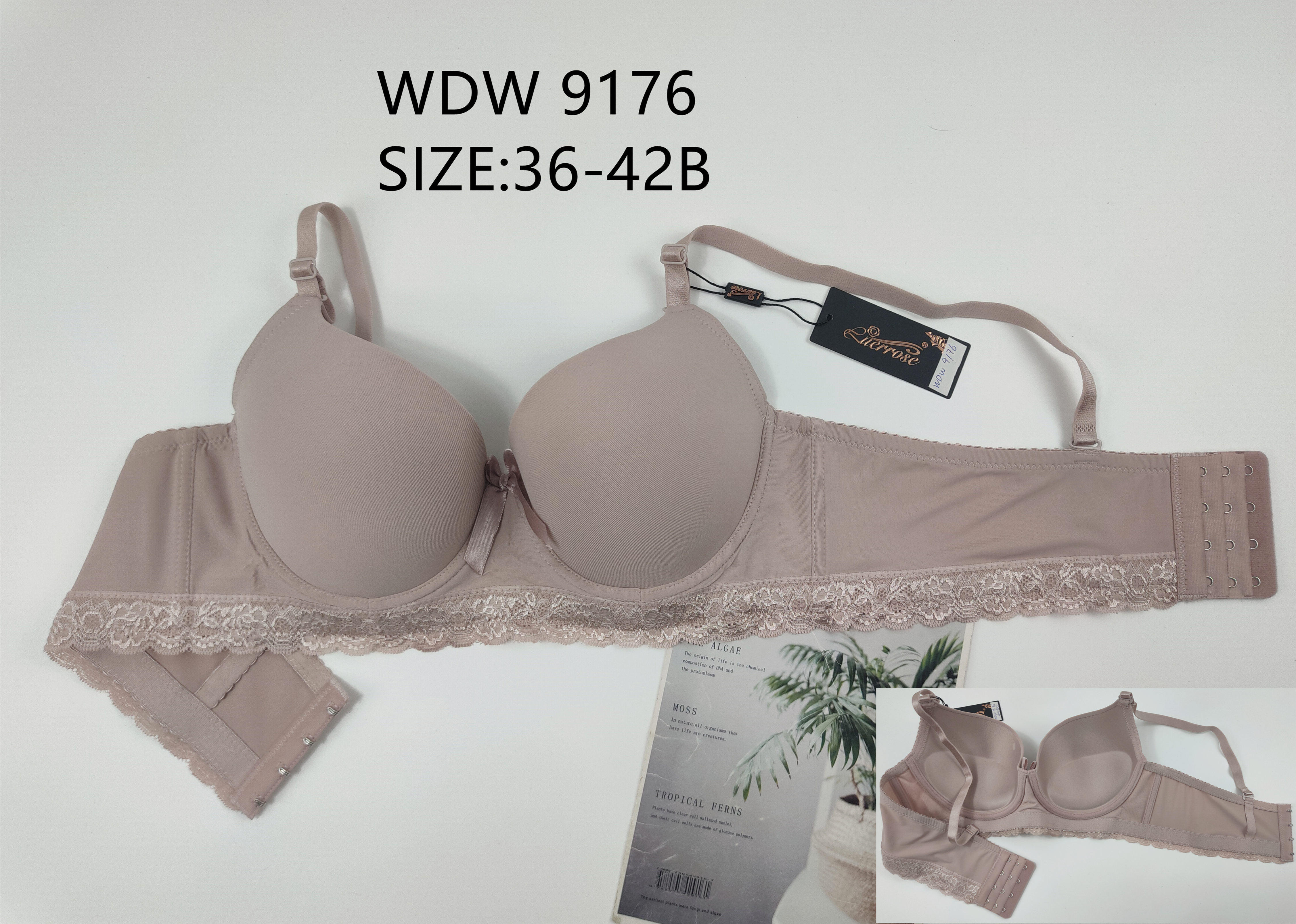 WDW9176,bra