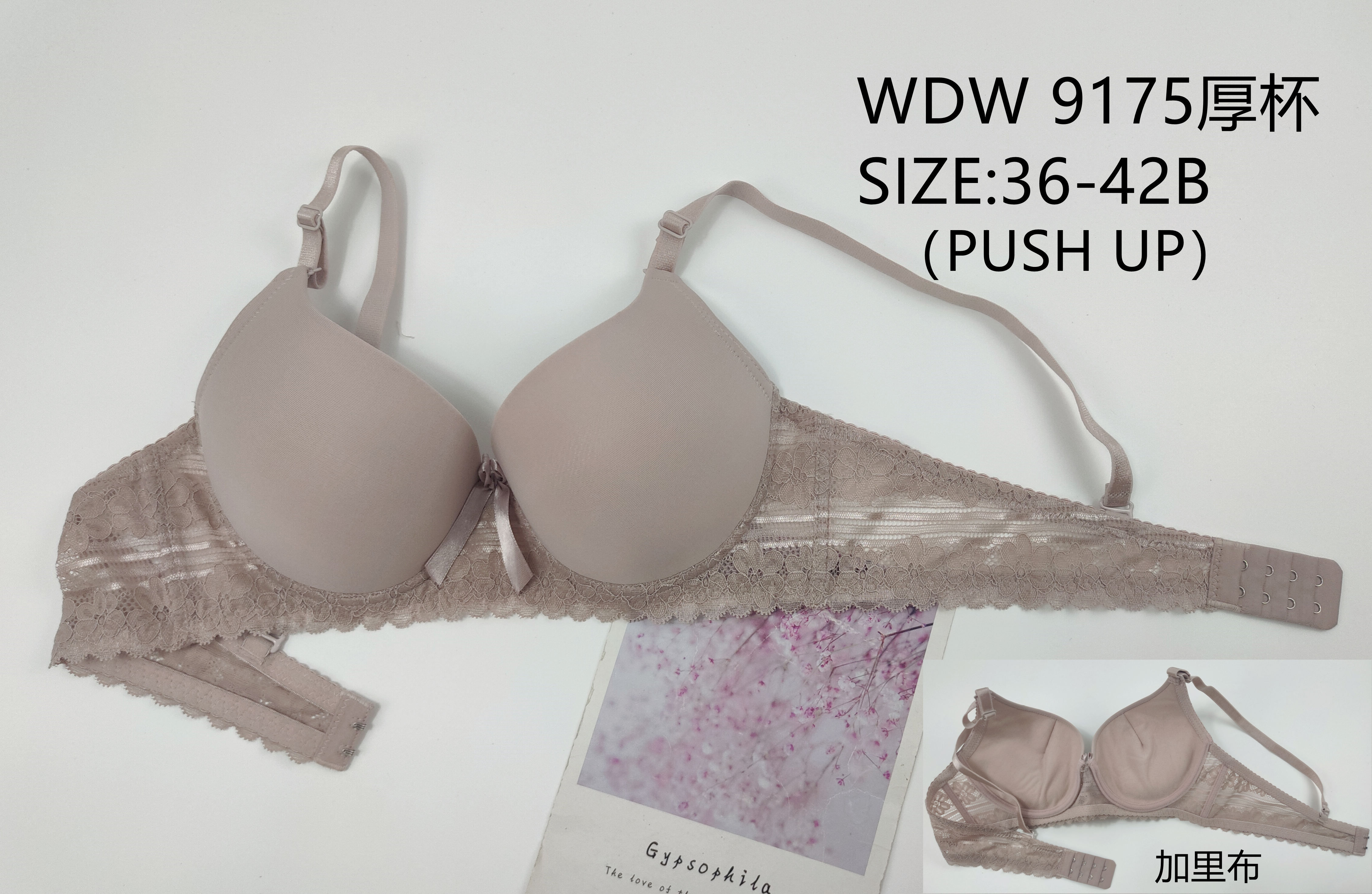 WDW9175厚杯,bra