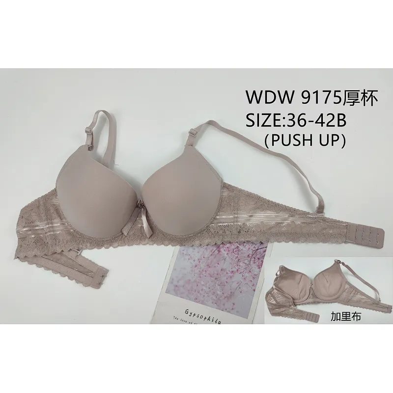 WDW9175厚杯,bra